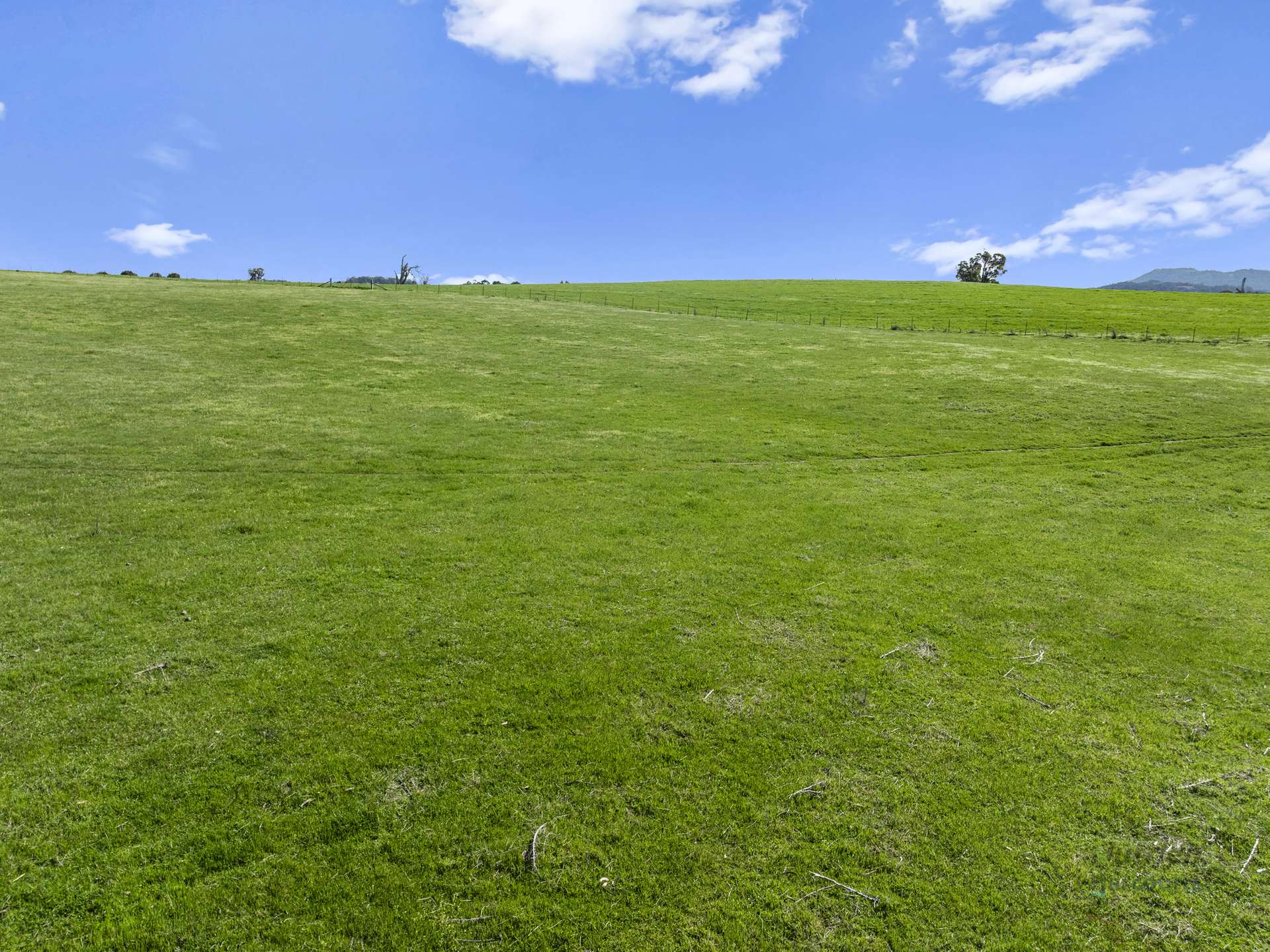 99 Tames Road, Strathbogie For Sale by Farmbuy.com - image 11