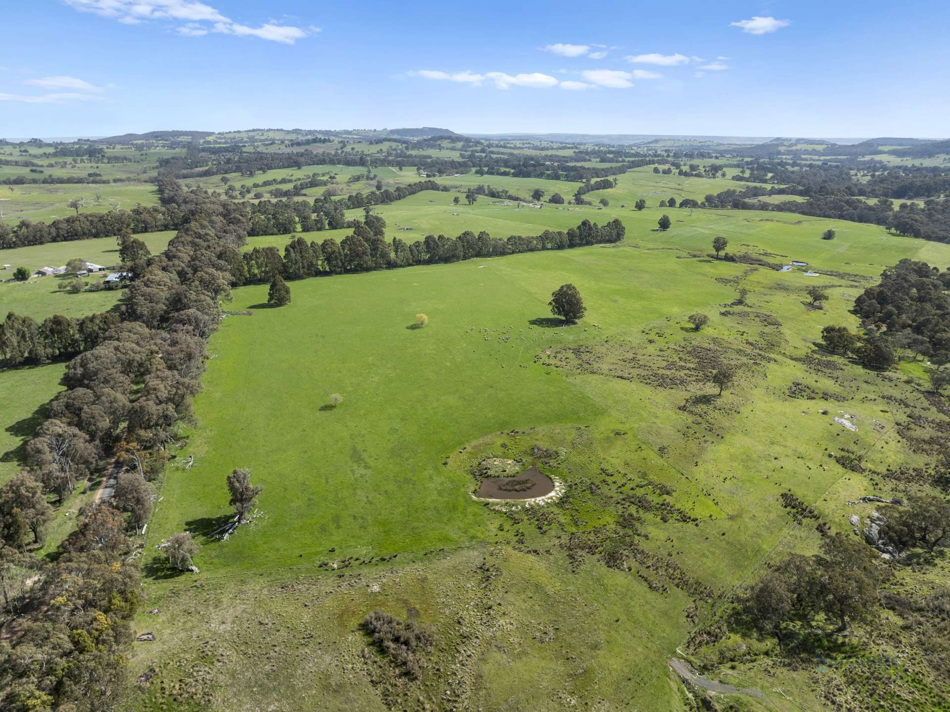 99 Tames Road, Strathbogie For Sale by Farmbuy.com - image 5