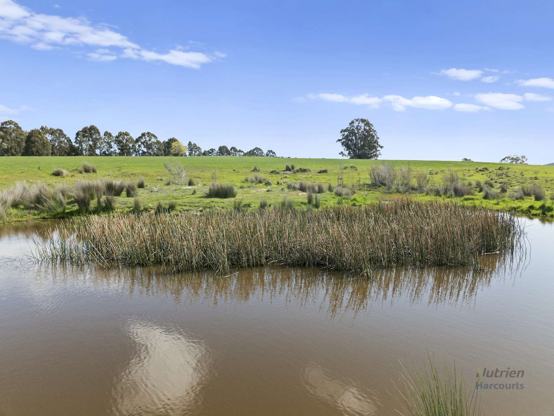 99 Tames Road, Strathbogie For Sale by Farmbuy.com - image 8
