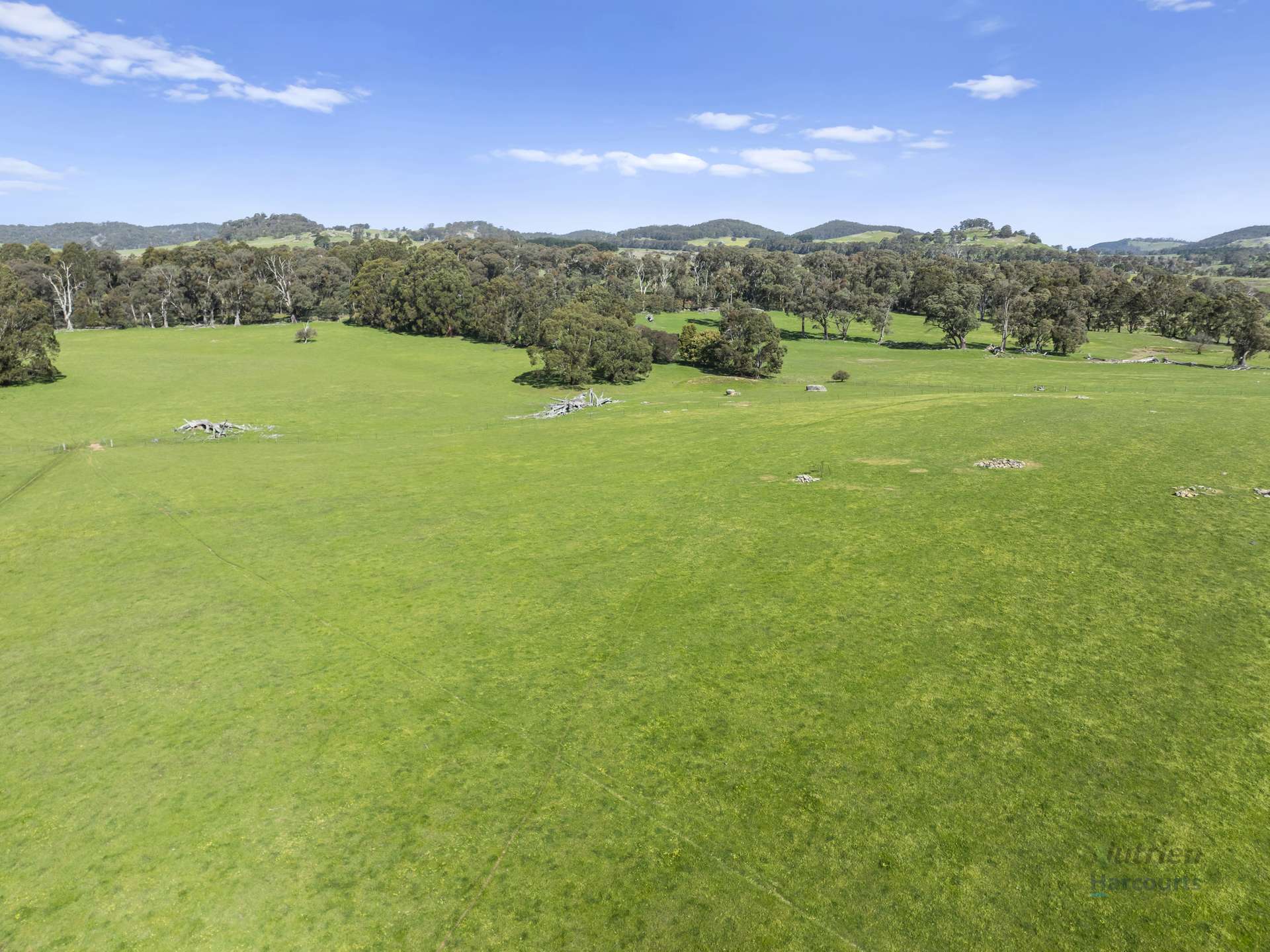99 Tames Road, Strathbogie For Sale by Farmbuy.com - image 12