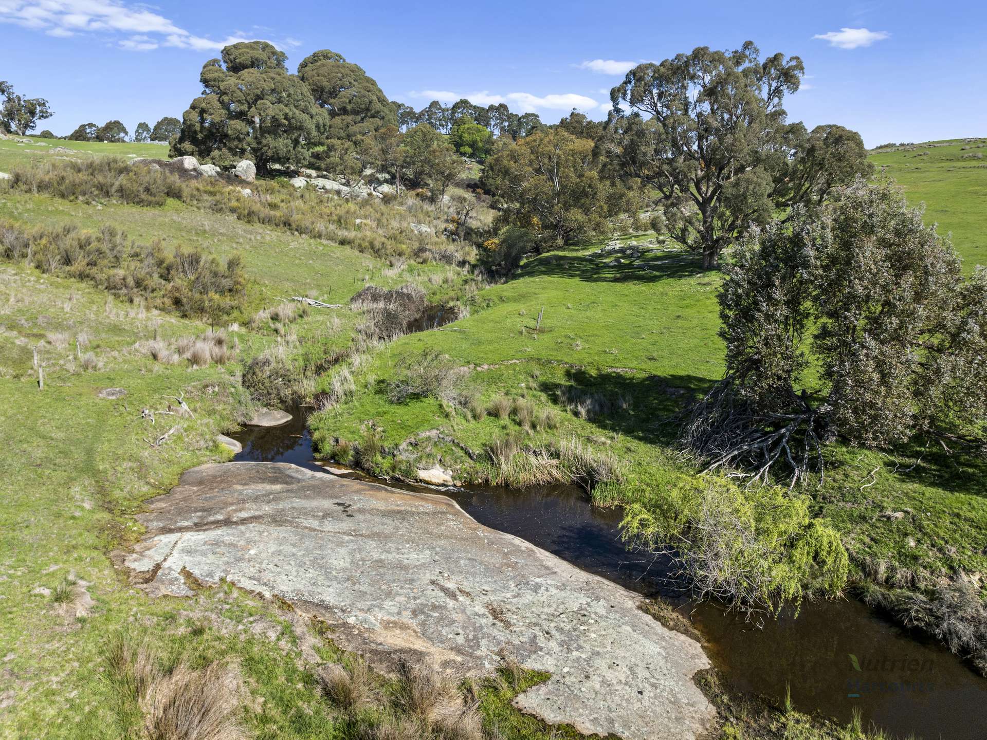 99 Tames Road, Strathbogie For Sale by Farmbuy.com - image 17