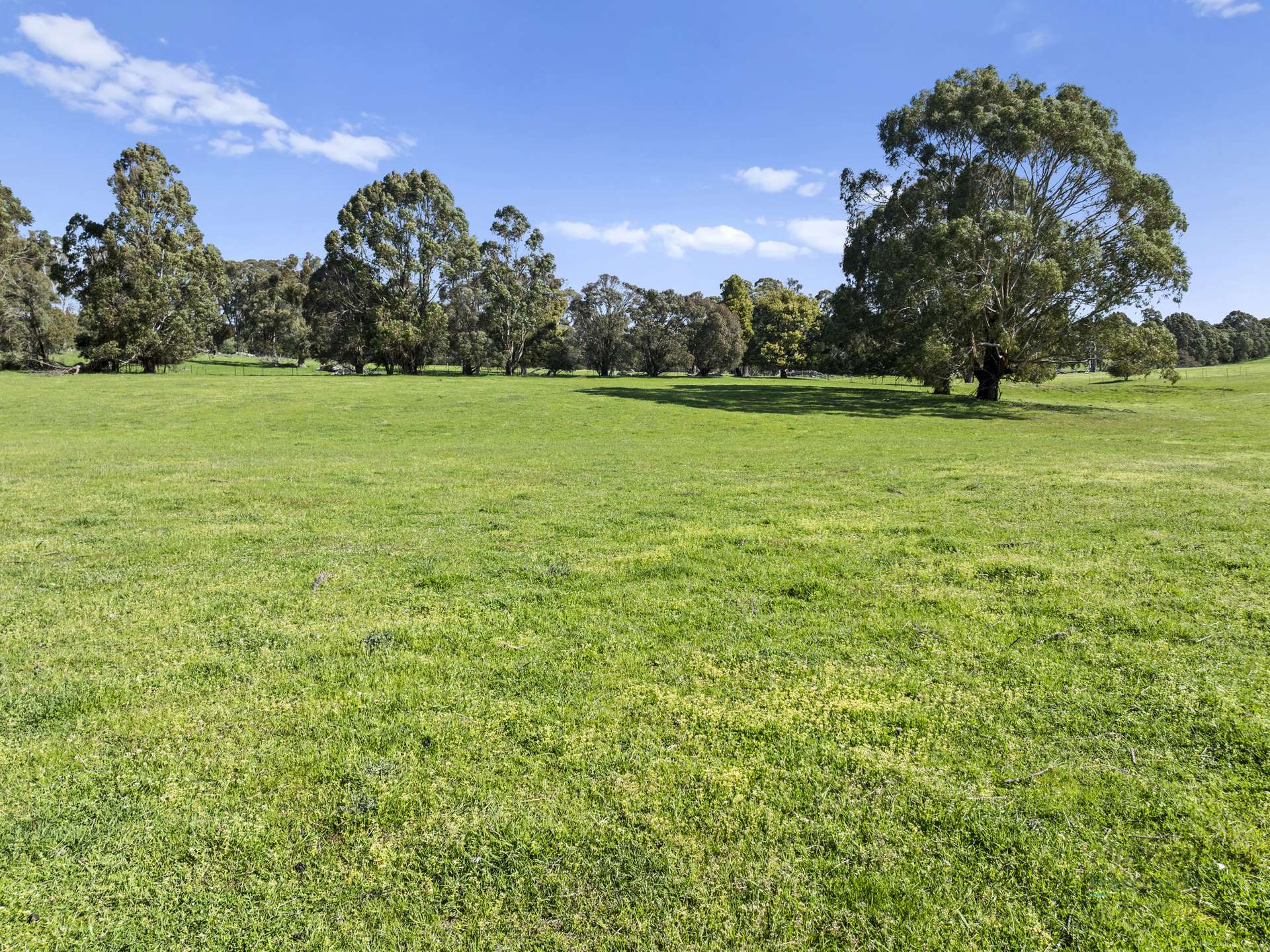 99 Tames Road, Strathbogie For Sale by Farmbuy.com - image 14