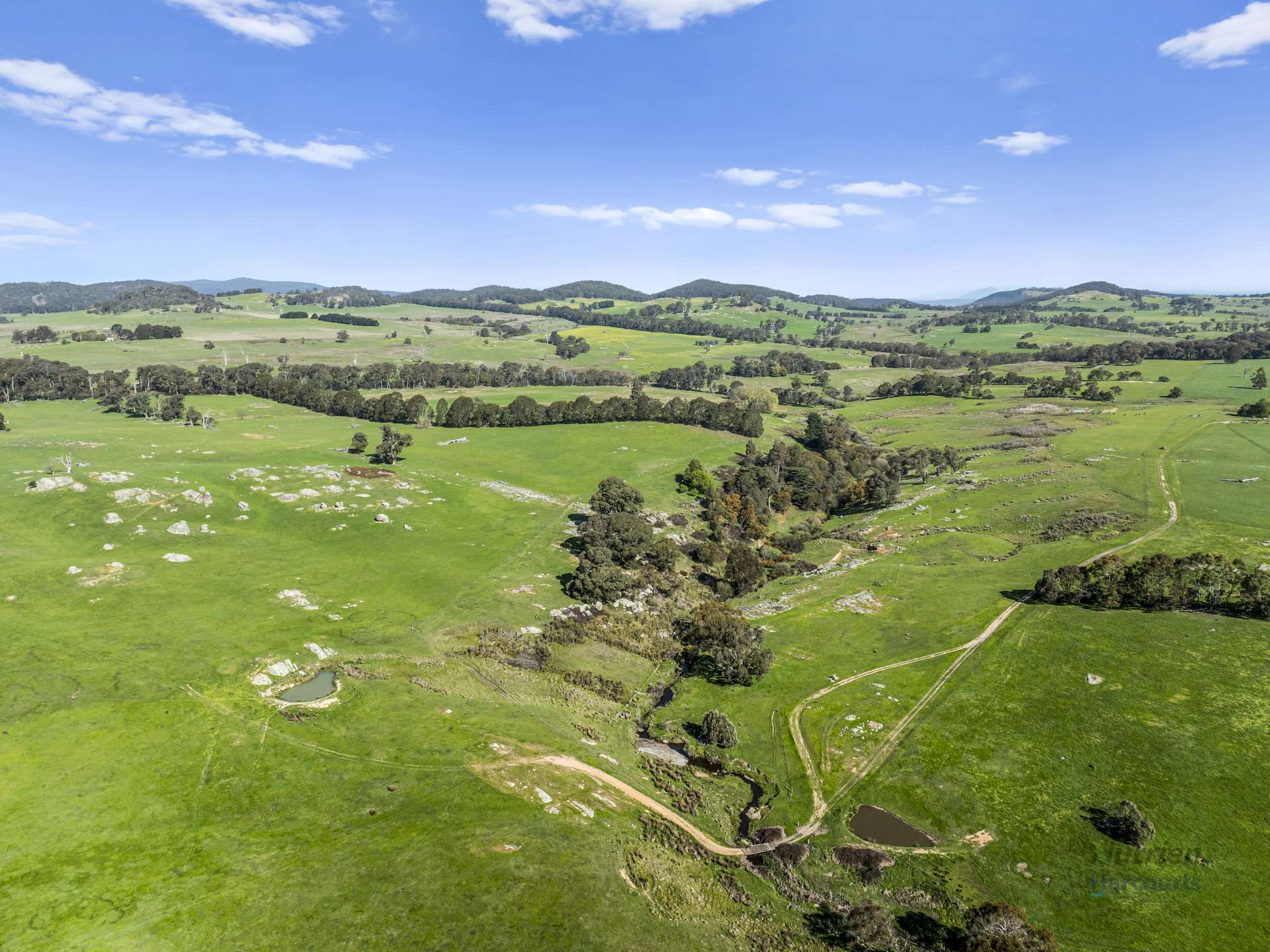 99 Tames Road, Strathbogie For Sale by Farmbuy.com - image 4