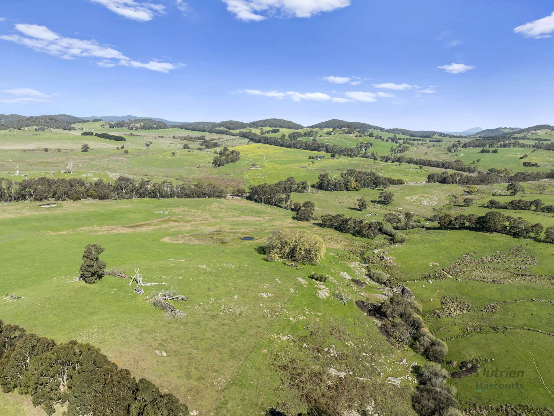 99 Tames Road, Strathbogie For Sale by Farmbuy.com - image 16