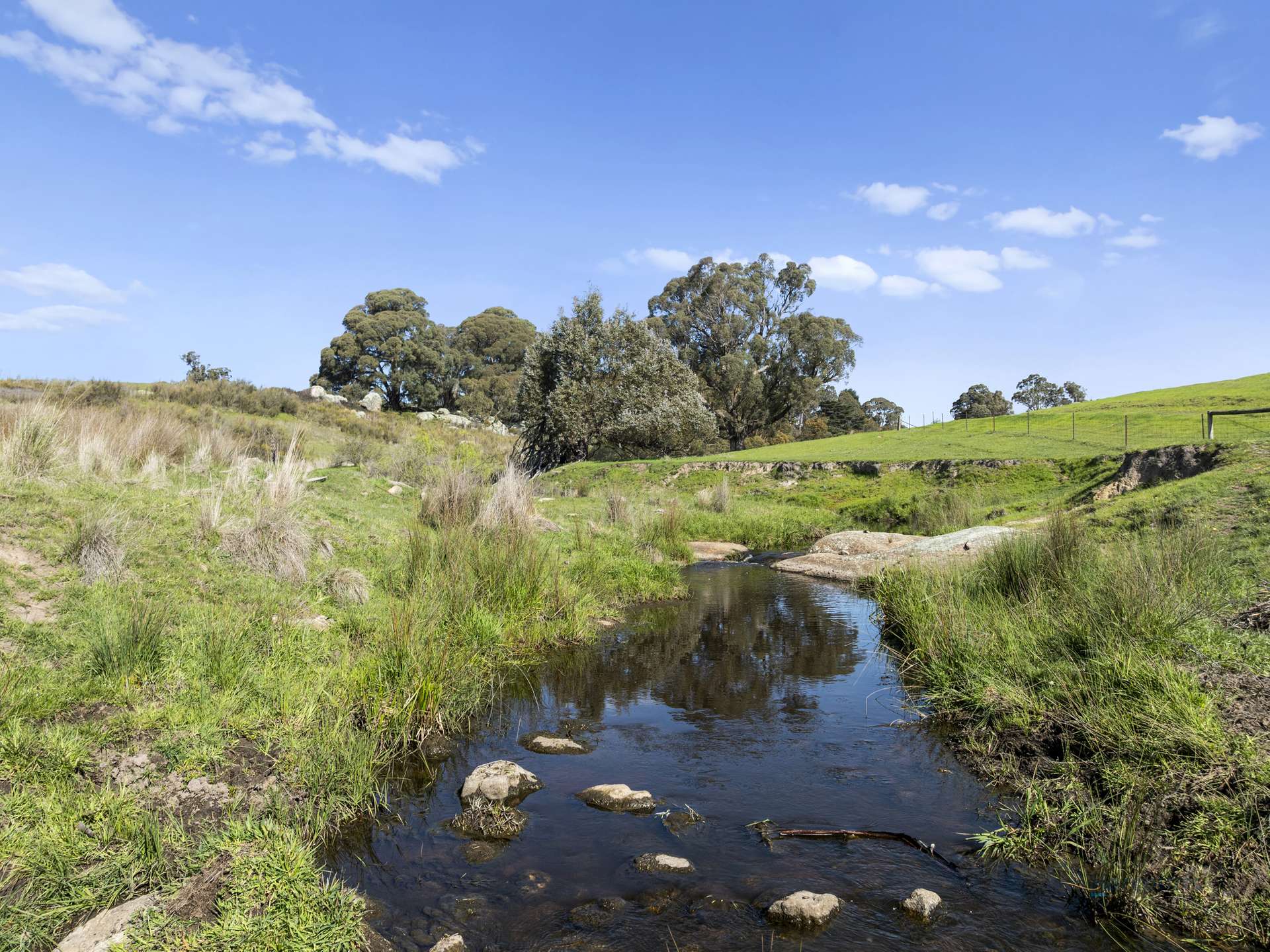 99 Tames Road, Strathbogie For Sale by Farmbuy.com - image 15