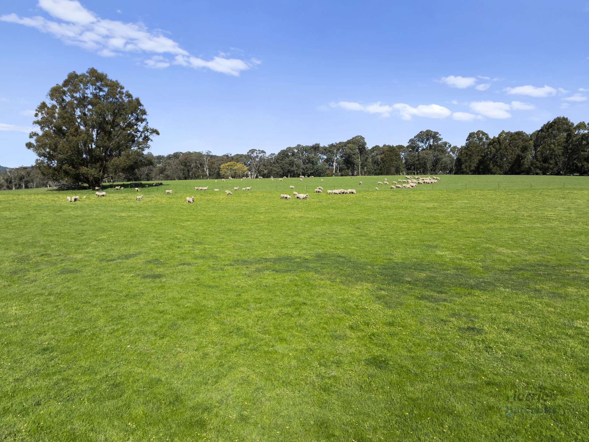99 Tames Road, Strathbogie For Sale by Farmbuy.com - image 9