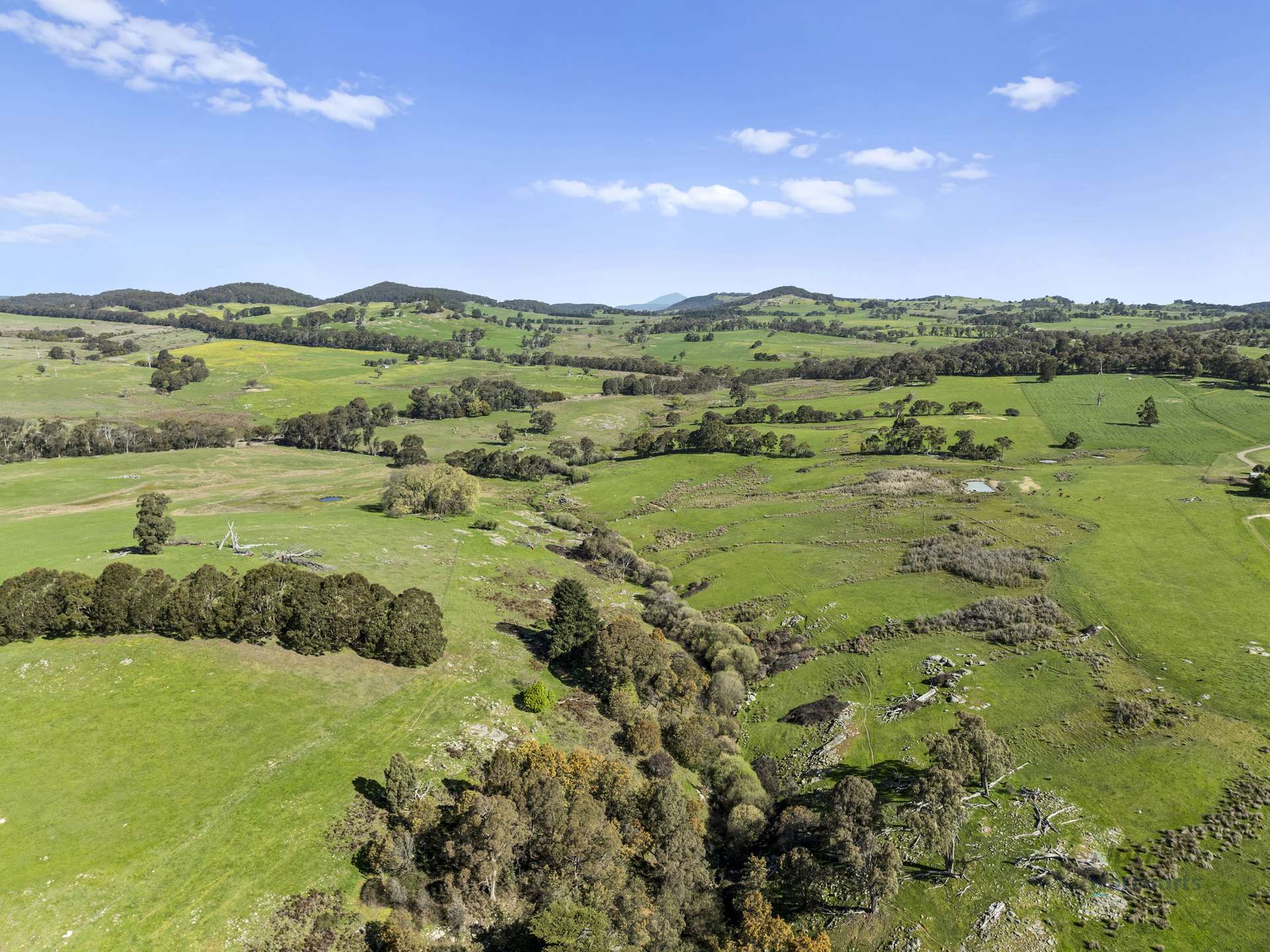 99 Tames Road, Strathbogie For Sale by Farmbuy.com - image 6