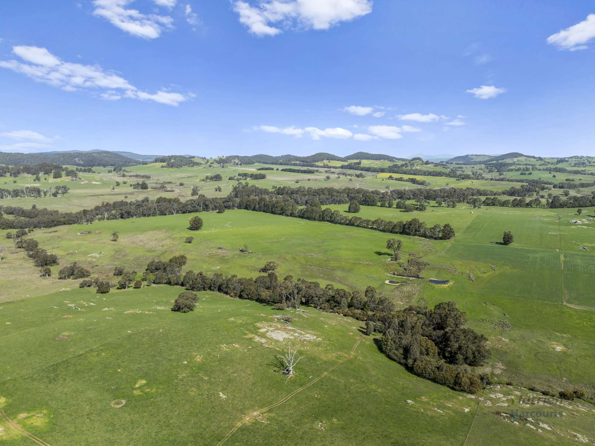 99 Tames Road, Strathbogie For Sale by Farmbuy.com - image 7