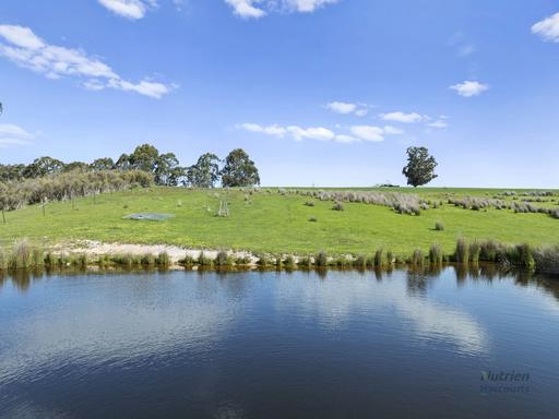 99 Tames Road, Strathbogie VIC 3666