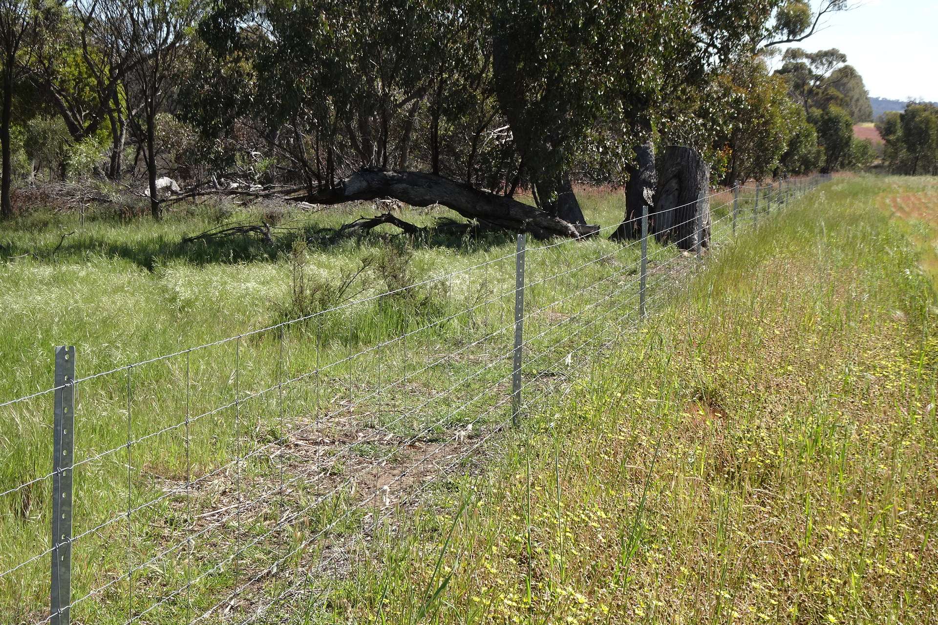Lot 51 Boyagarra Road, Brookton Sold by Farmbuy.com - image 8