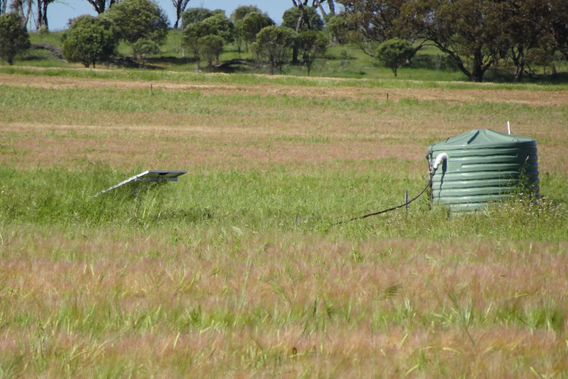 Lot 51 Boyagarra Road, Brookton Sold by Farmbuy.com - image 9