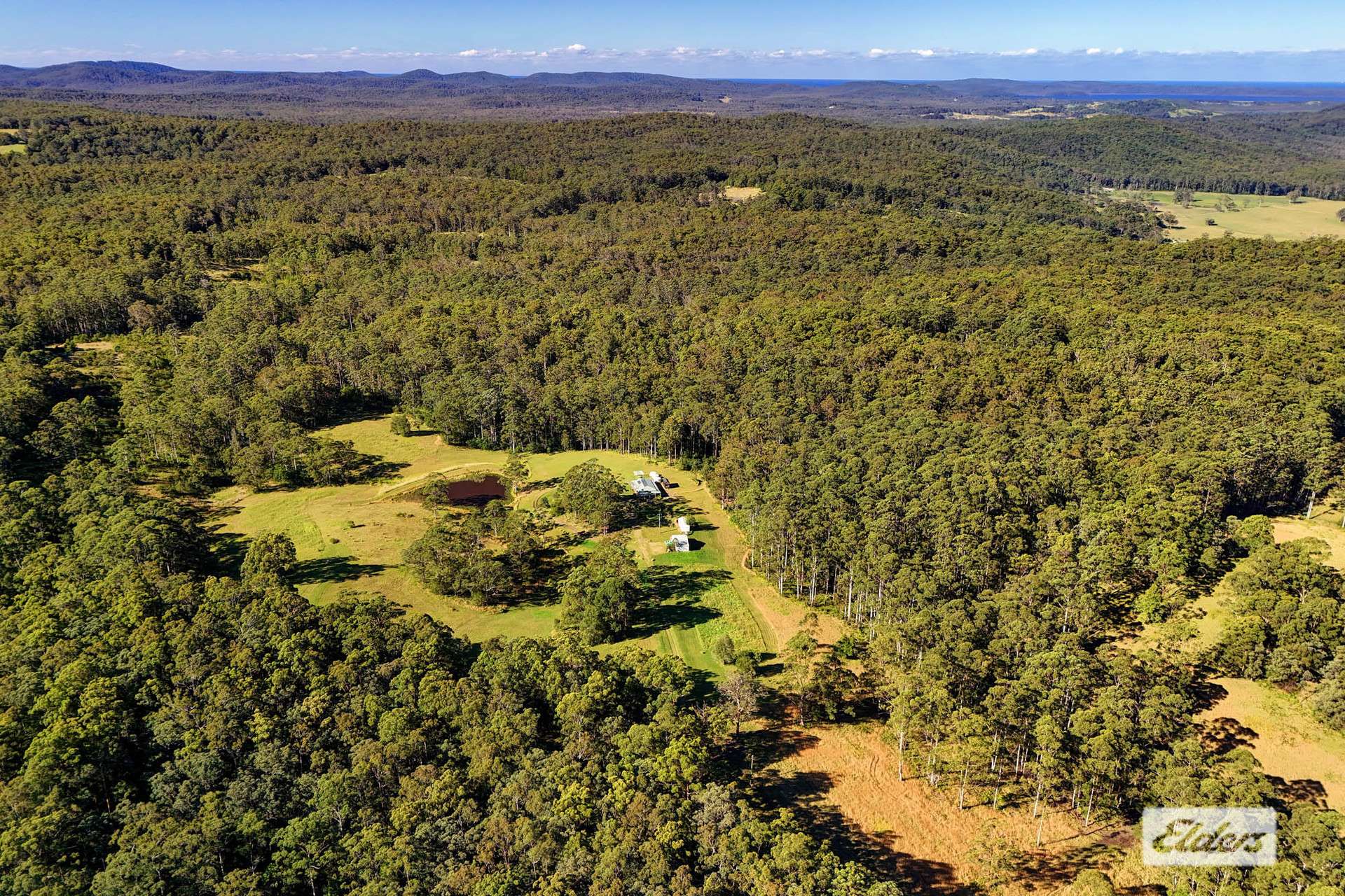 811 Newmans Road, Topi Topi For Sale by Farmbuy.com - image 26
