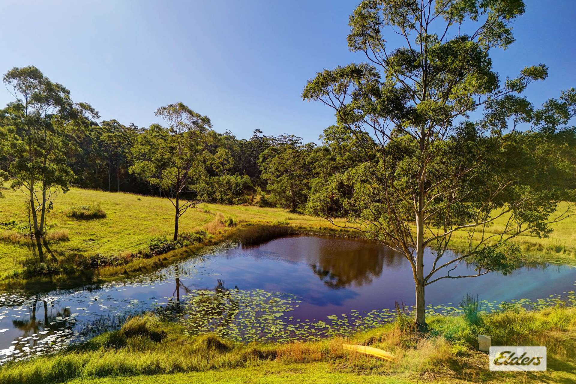 811 Newmans Road, Topi Topi For Sale by Farmbuy.com - image 3