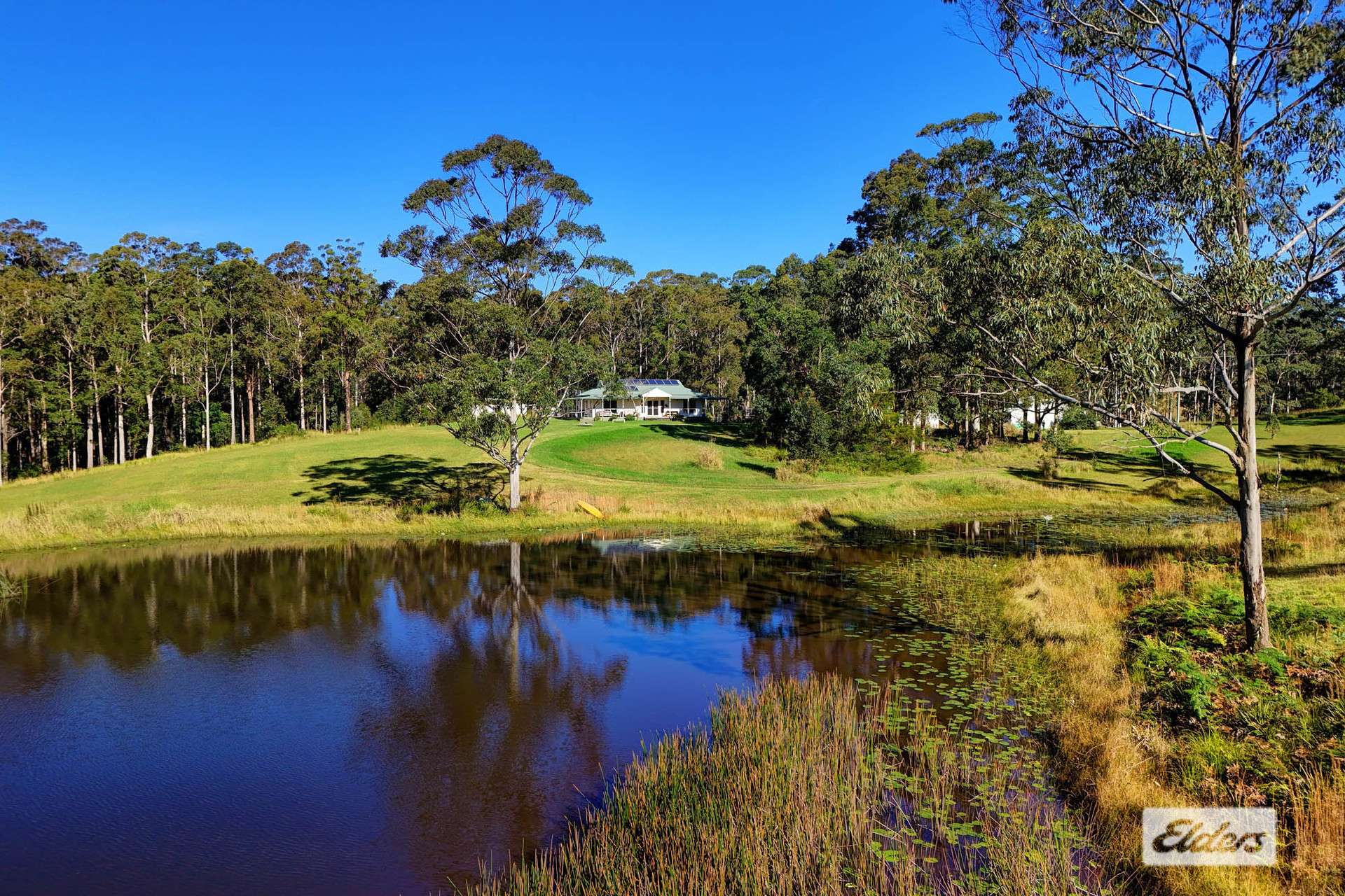 811 Newmans Road, Topi Topi For Sale by Farmbuy.com - image 4
