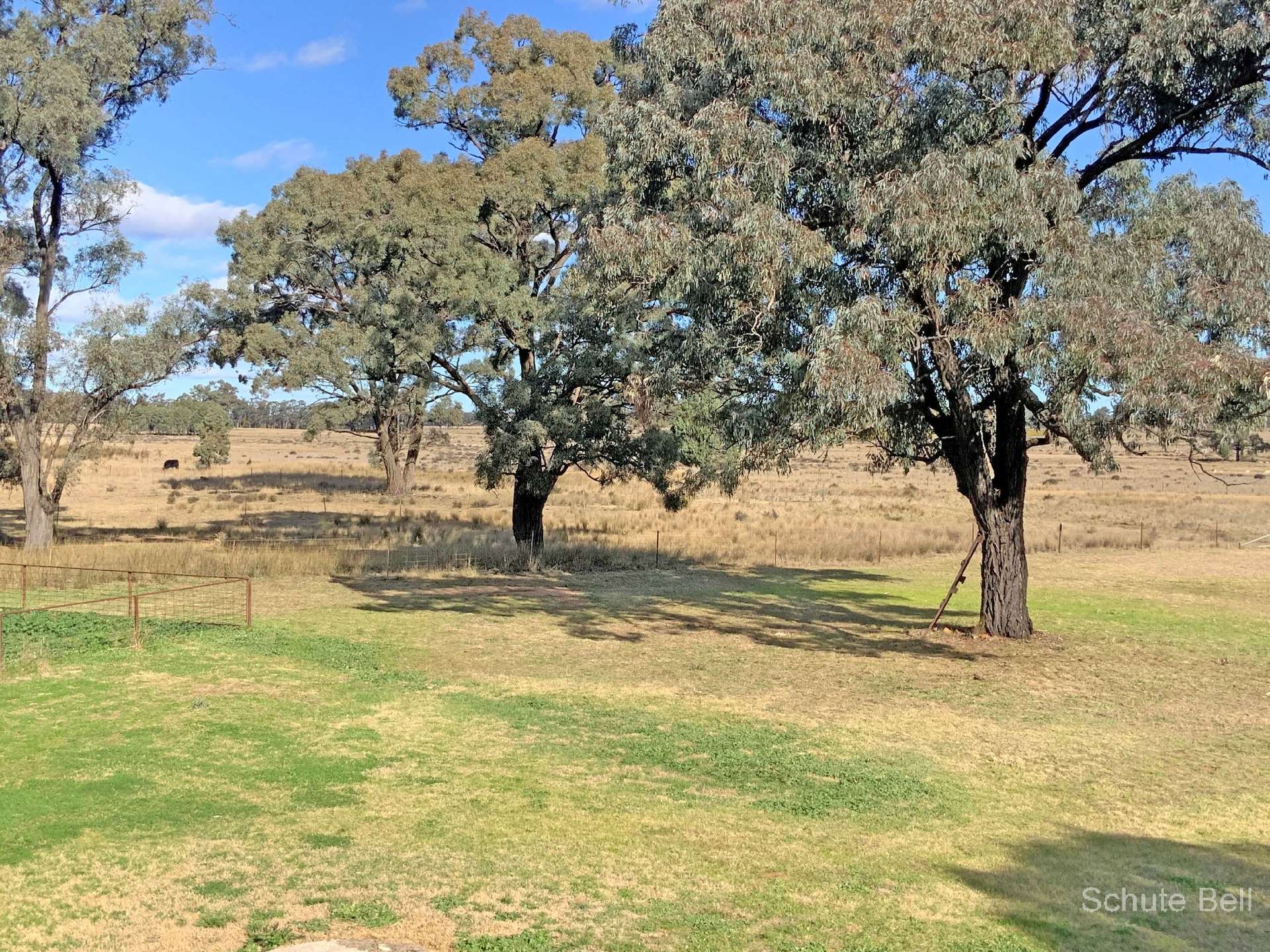 71R Maiala Rd, Eumungerie For Sale by Farmbuy.com - image 9