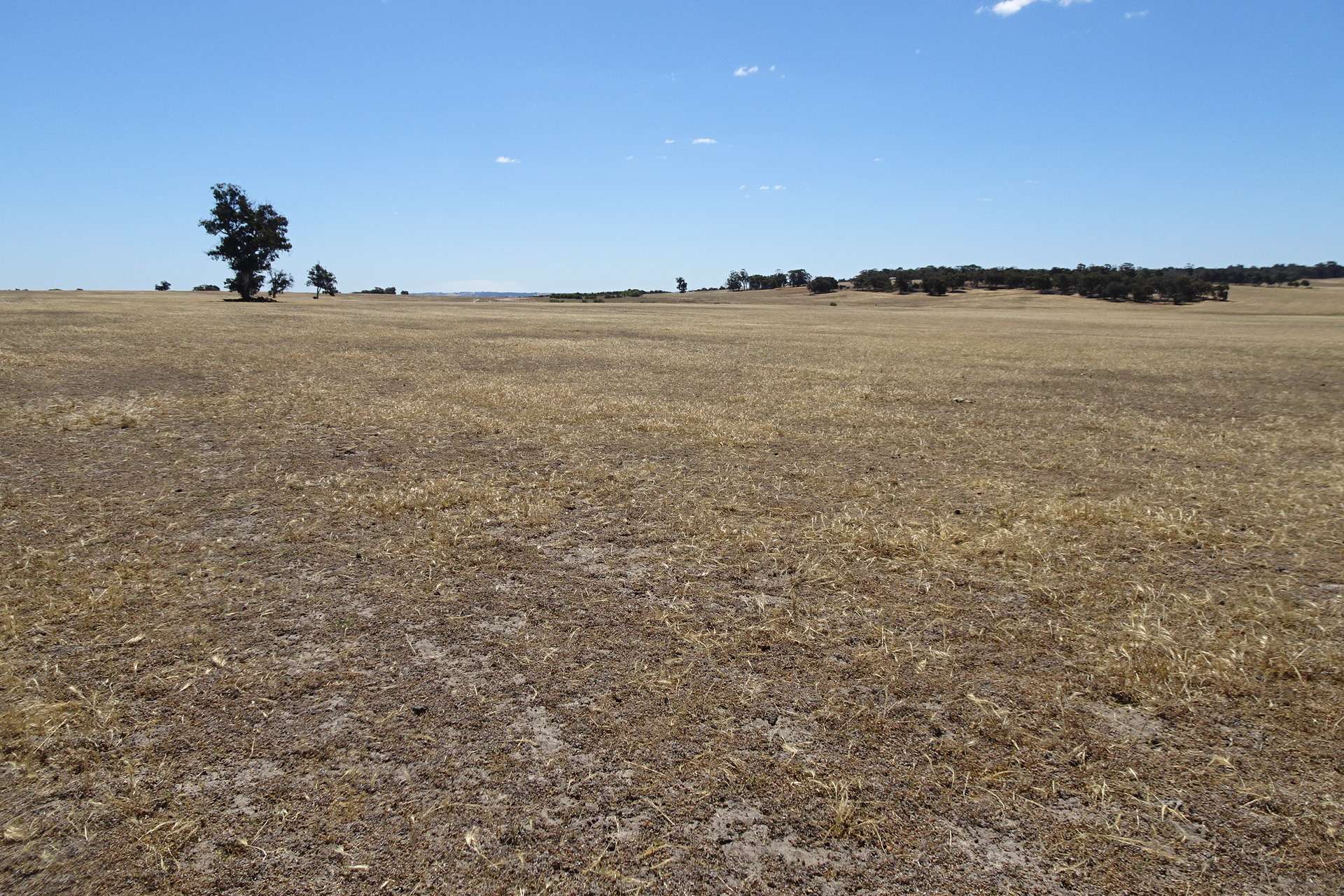 Watson Road, Wagin Sold by Farmbuy.com - image 15