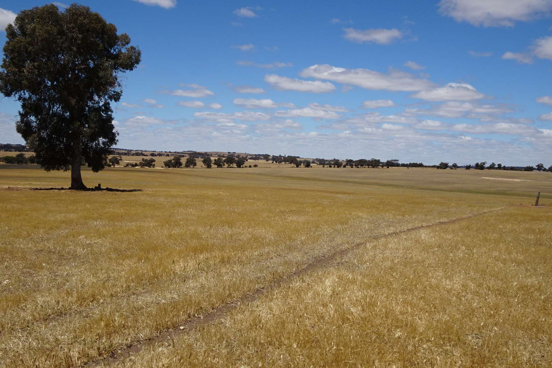 Watson Road, Wagin Sold by Farmbuy.com - image 4
