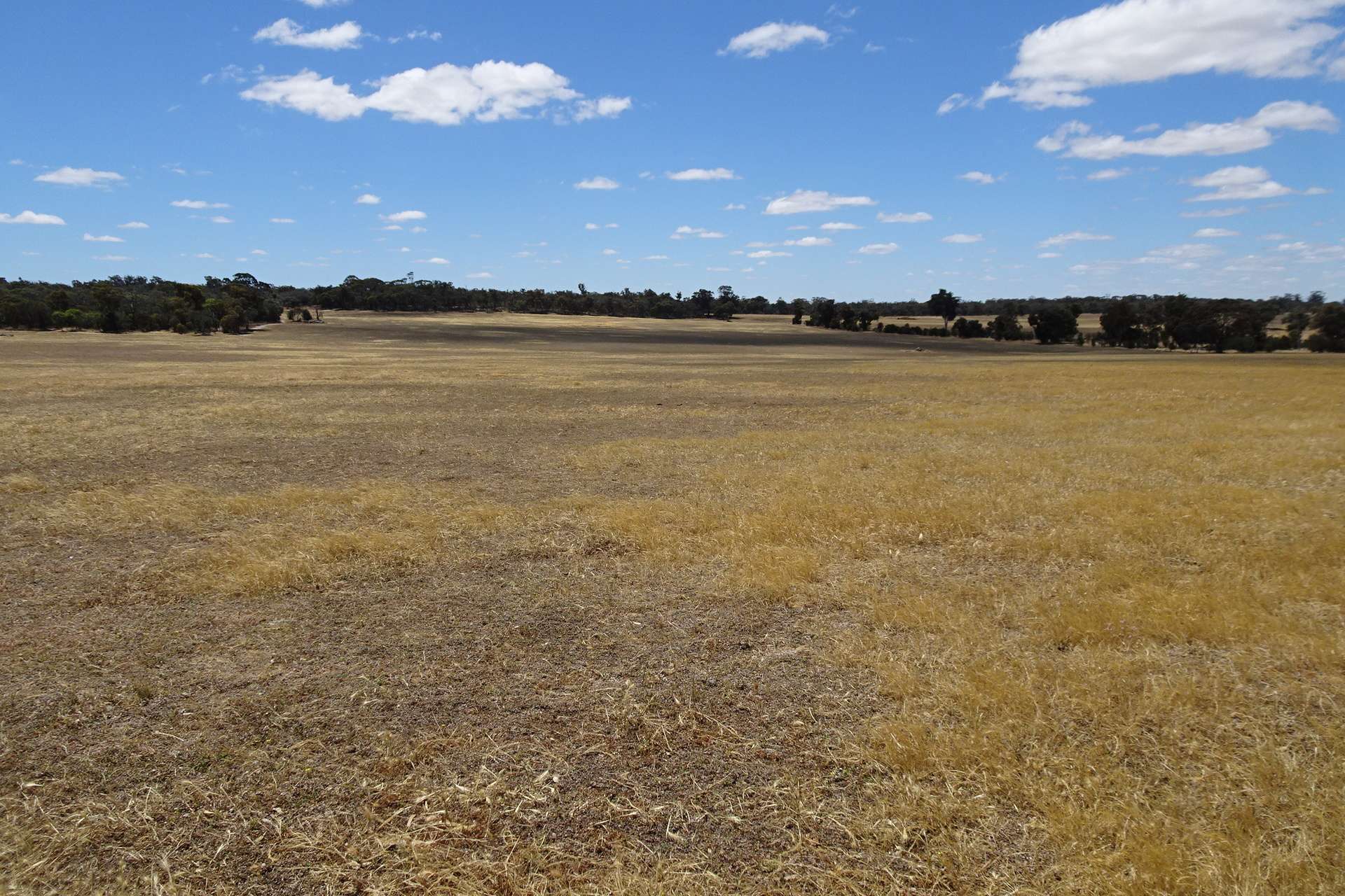 Watson Road, Wagin Sold by Farmbuy.com - image 5