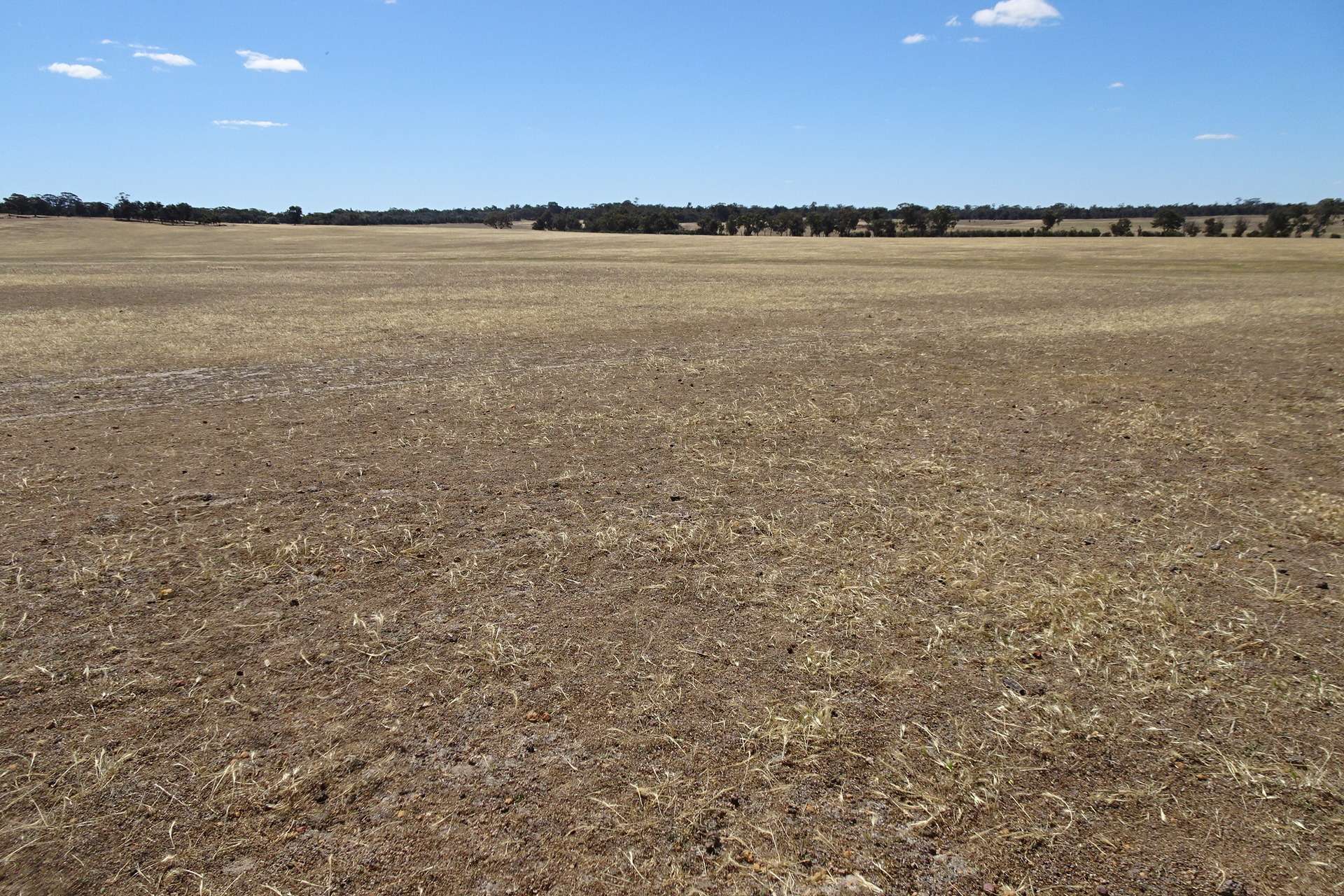Watson Road, Wagin Sold by Farmbuy.com - image 14