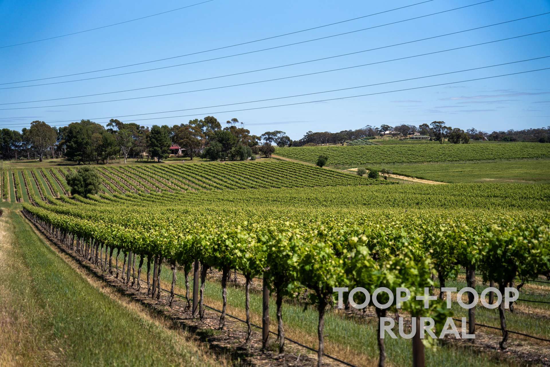 303 Stonewell Road, Stone Well For Sale by Farmbuy.com - image 27