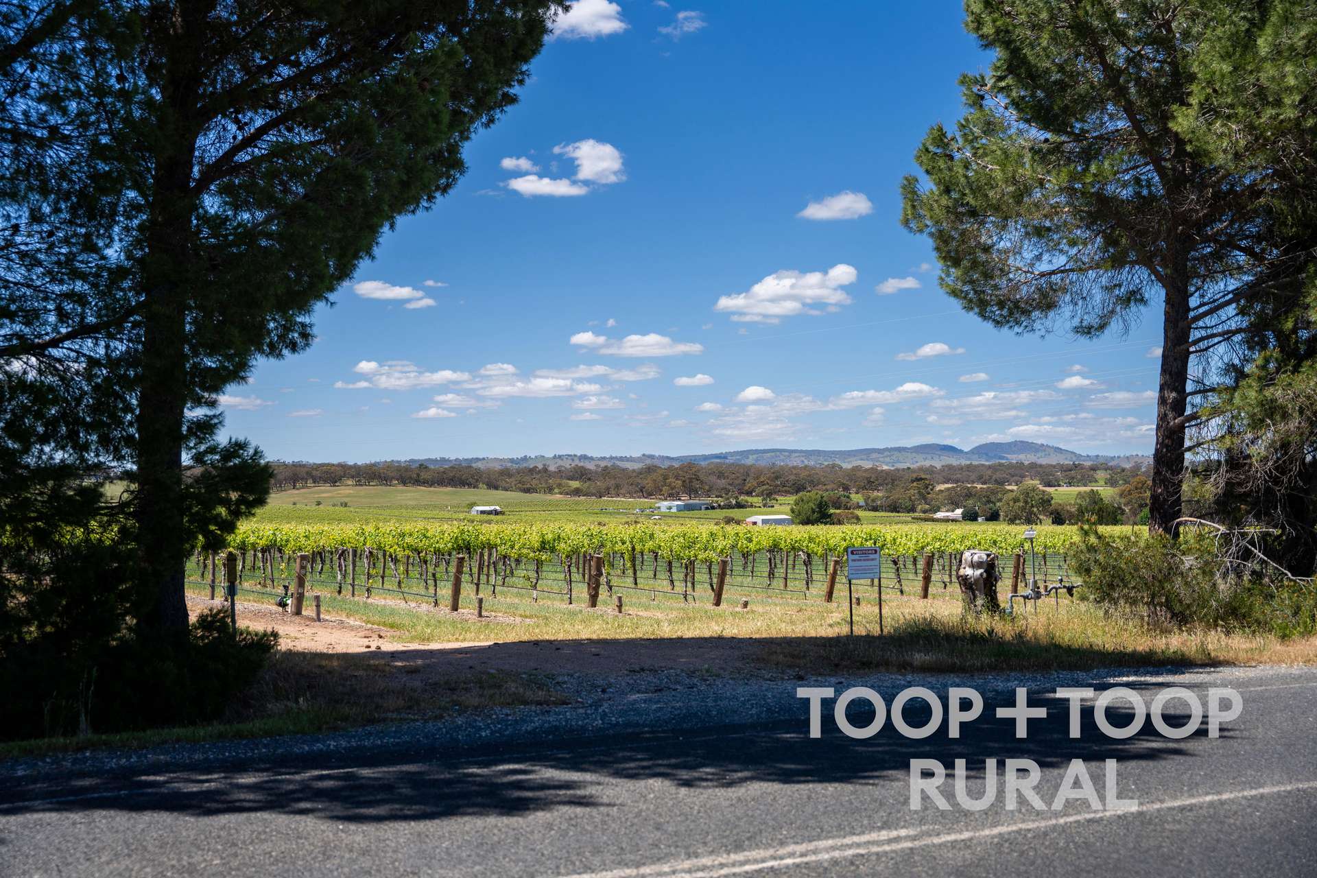 303 Stonewell Road, Stone Well For Sale by Farmbuy.com - image 6