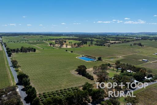 303 Stonewell Road, Stone Well SA 5352
