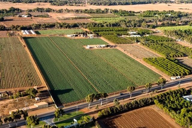 563 & 561 Robinson Street, Carnarvon WA 6701