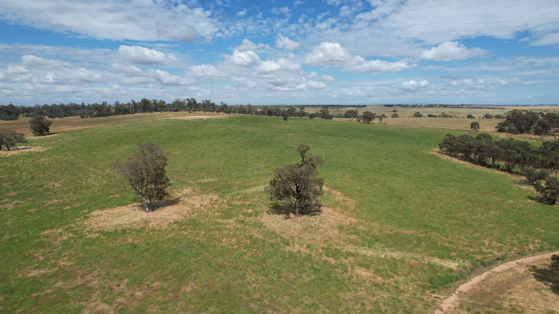 35 Strathlea Road, Joyces Creek Sold by Farmbuy.com - image 3