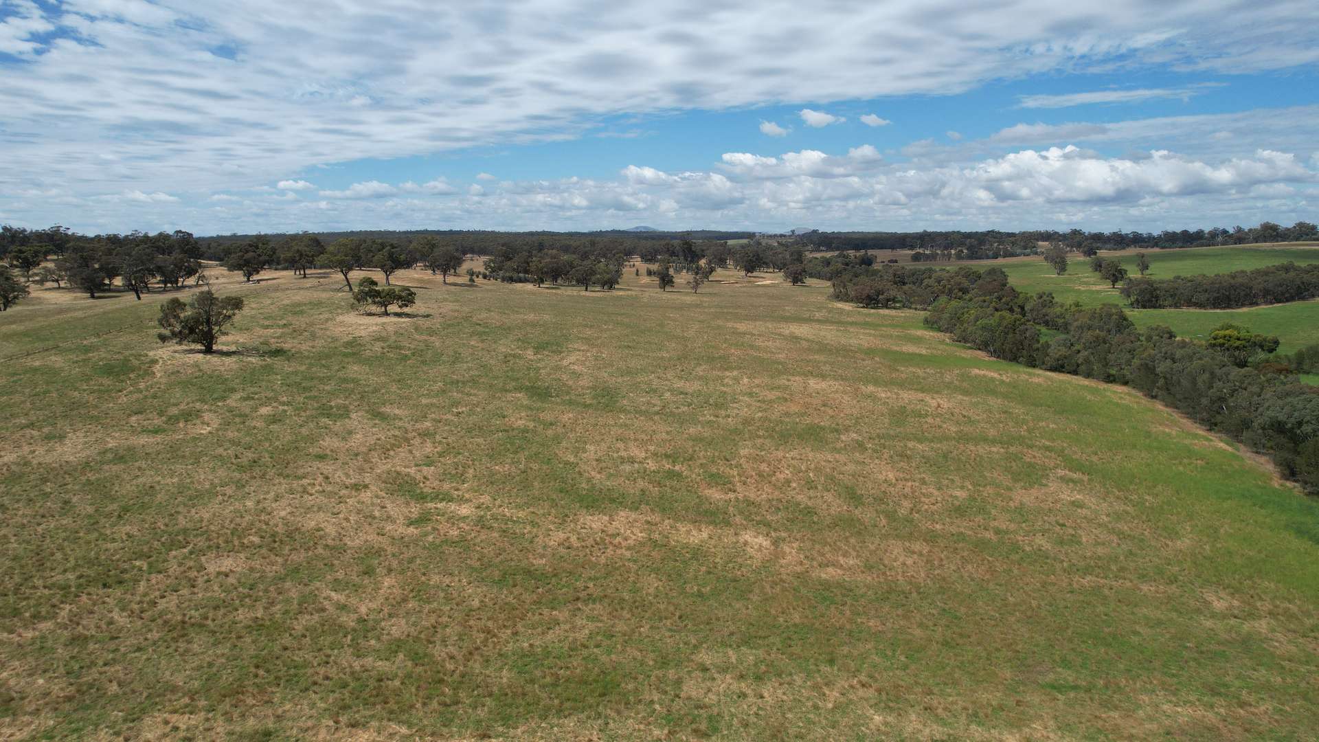 35 Strathlea Road, Joyces Creek Sold by Farmbuy.com - image 6
