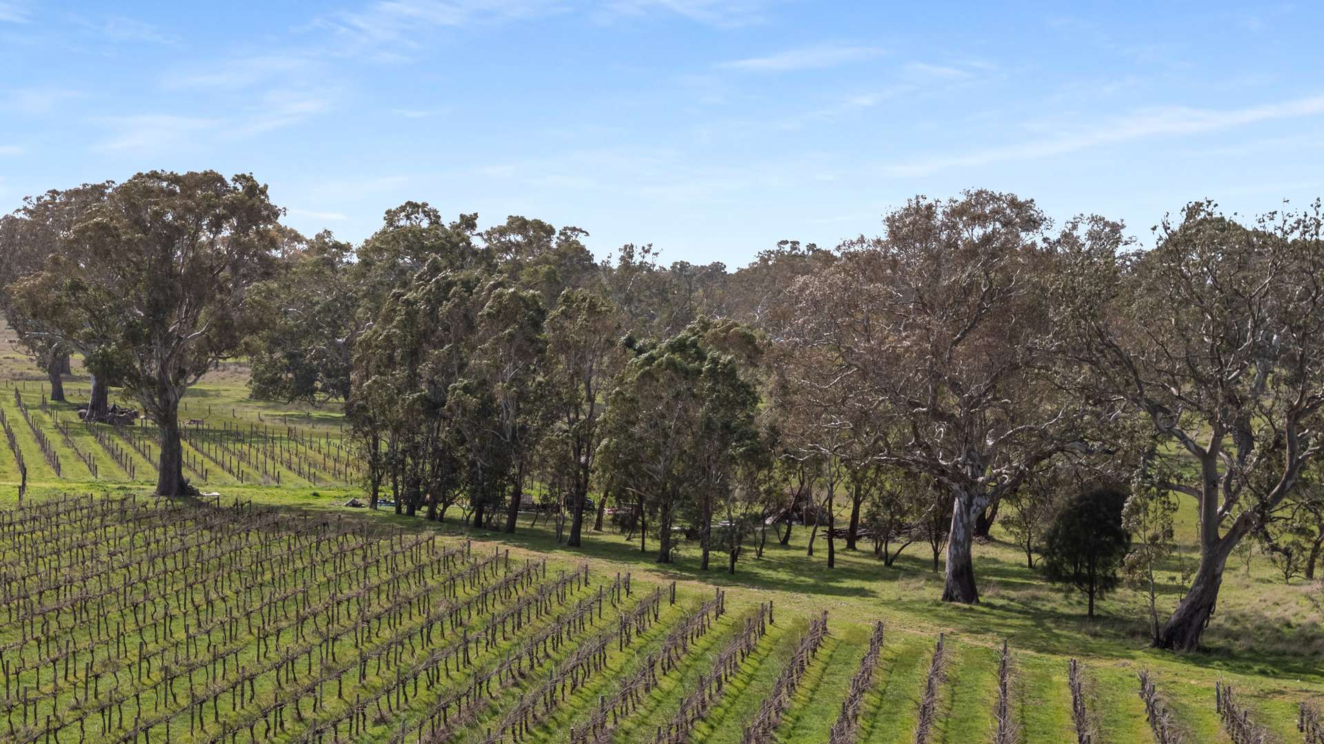 Lot 106, 108 Dergholm Road, Penola For Sale by Farmbuy.com - image 7
