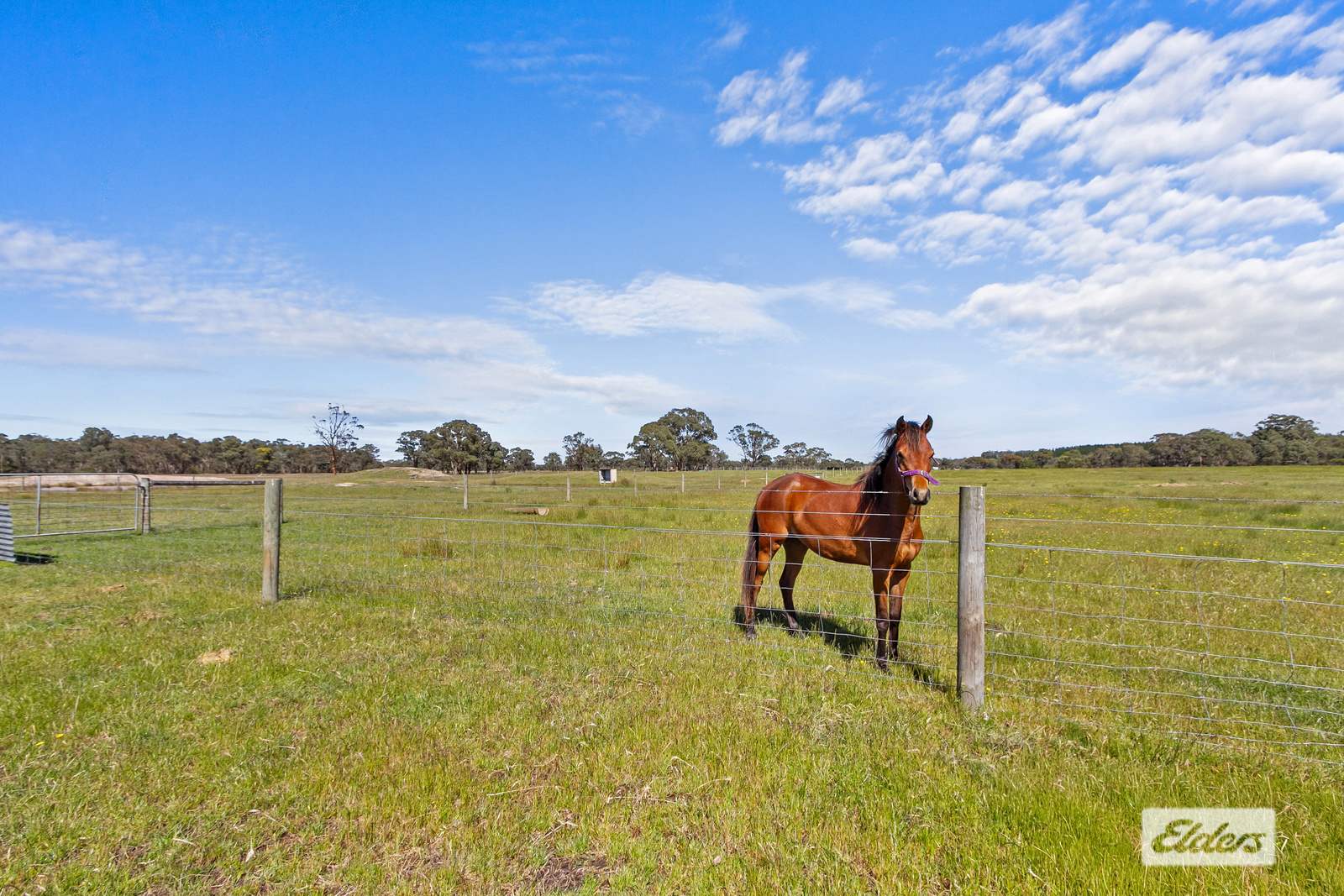 628 Nicholls Road, Stradbroke Sold by Farmbuy.com - image 3