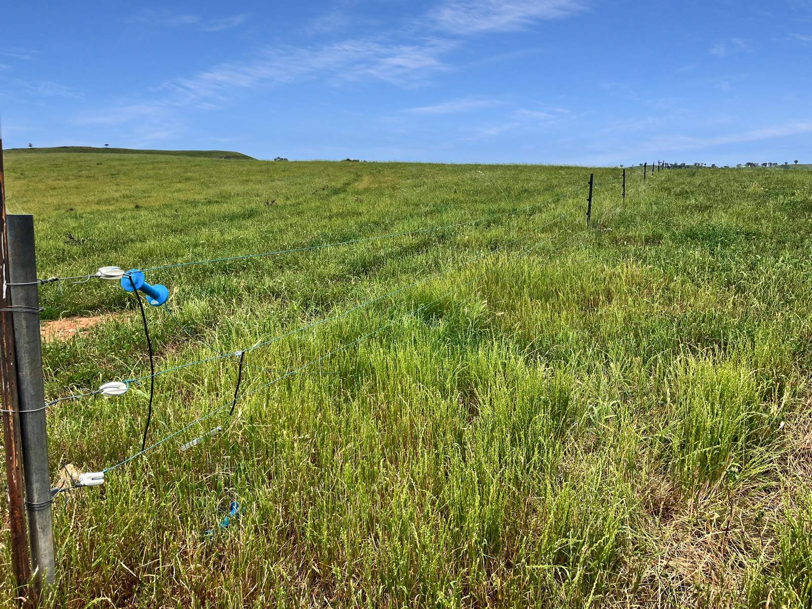 'horse Gully' Old Waugoola Road, Woodstock For Sale by Farmbuy.com - image 32