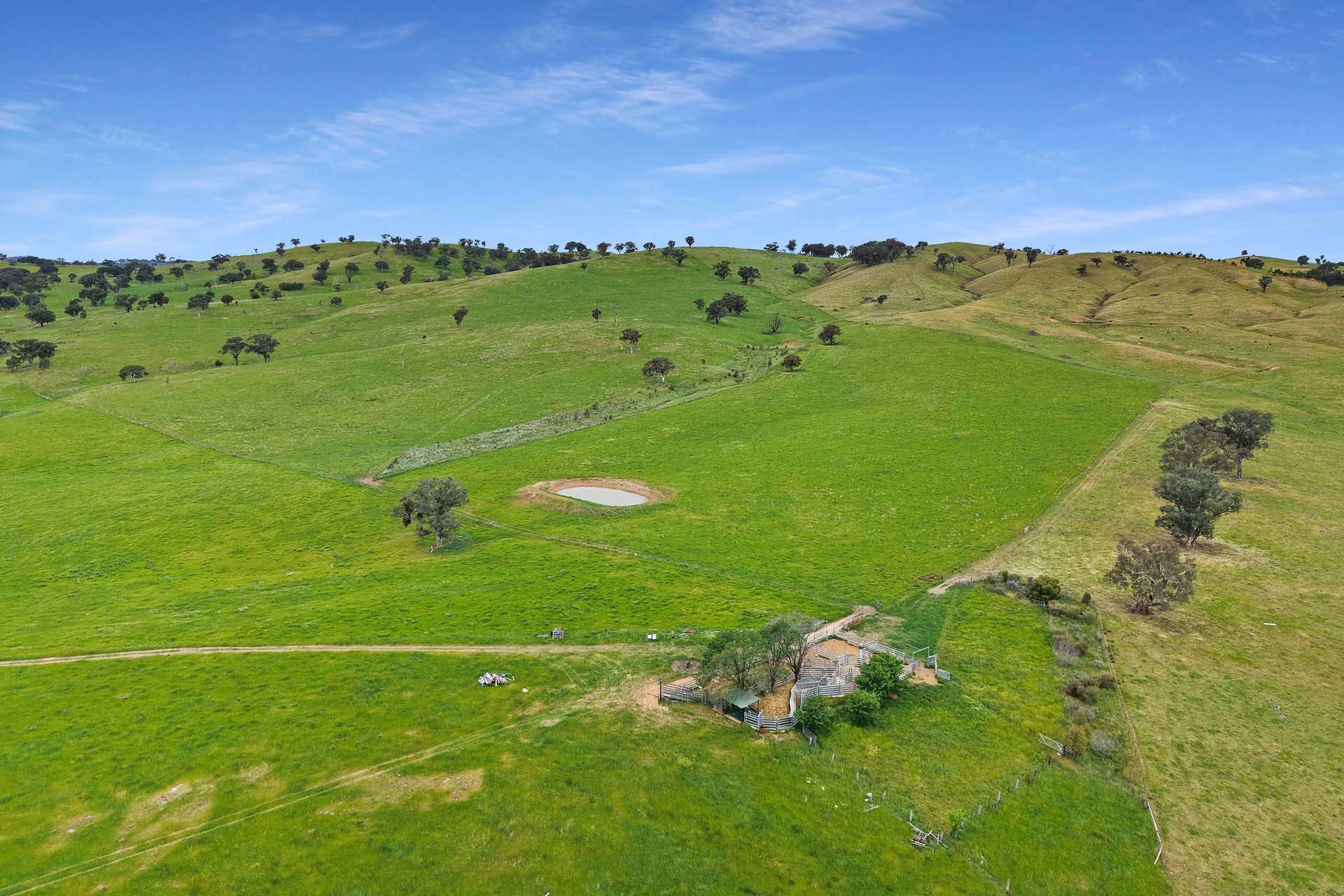 'horse Gully' Old Waugoola Road, Woodstock For Sale by Farmbuy.com - image 21