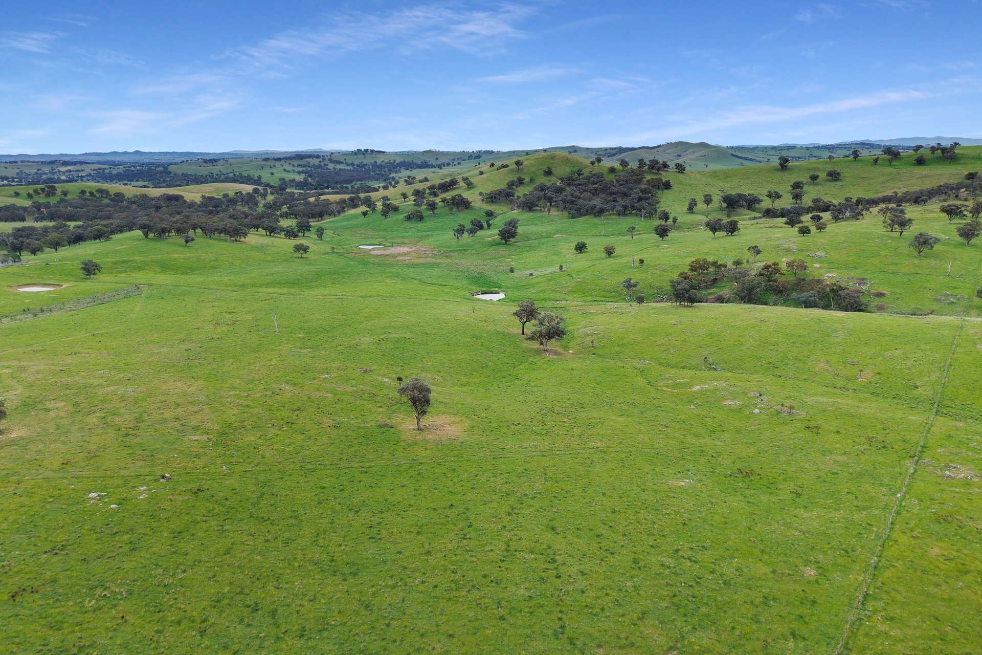 'horse Gully' Old Waugoola Road, Woodstock For Sale by Farmbuy.com - image 35