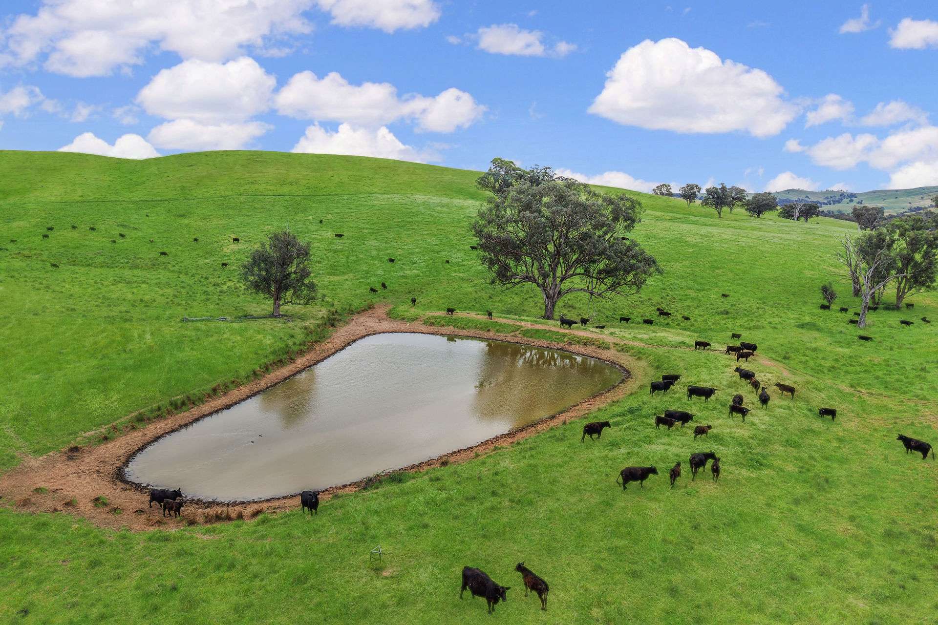 'horse Gully' Old Waugoola Road, Woodstock For Sale by Farmbuy.com - image 7