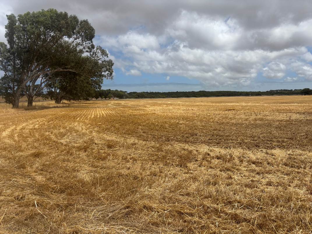 Lot 8 Edward Road, Narngulu For Sale by Farmbuy.com - image 6
