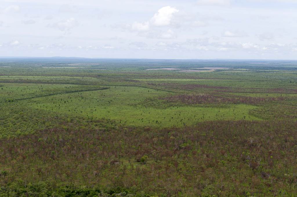 Douglas-daly NT 0822