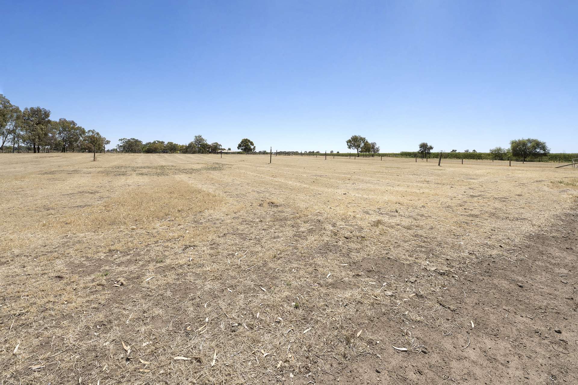91 Goodman Road, Woorinen Sold by Farmbuy.com - image 28