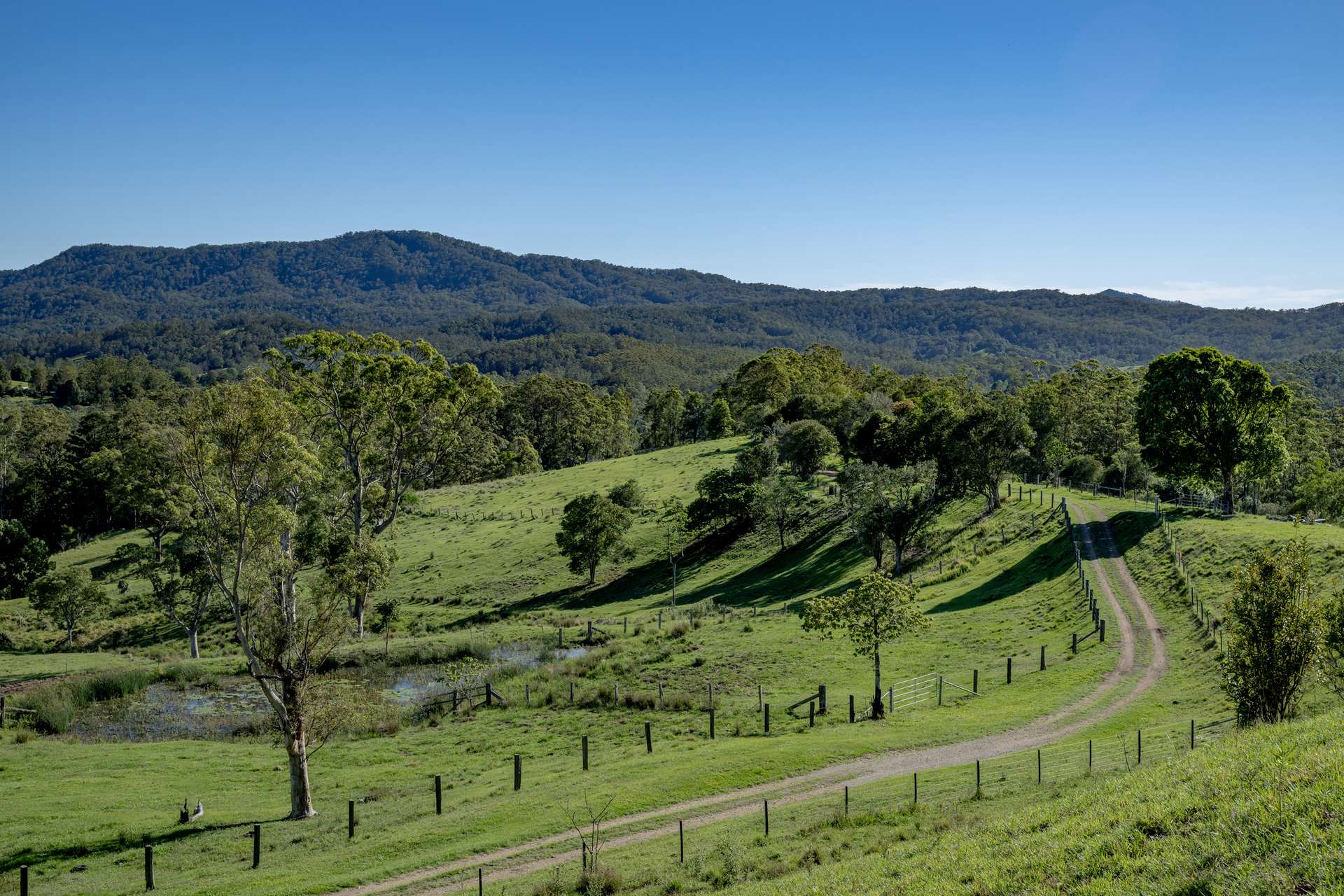 148 Pine Log Road, Doon Doon For Sale by Farmbuy.com - image 21