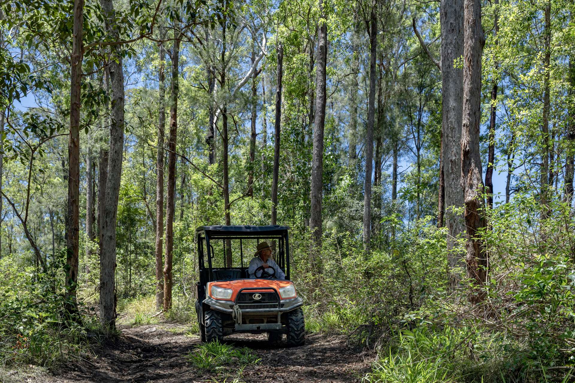 148 Pine Log Road, Doon Doon For Sale by Farmbuy.com - image 9