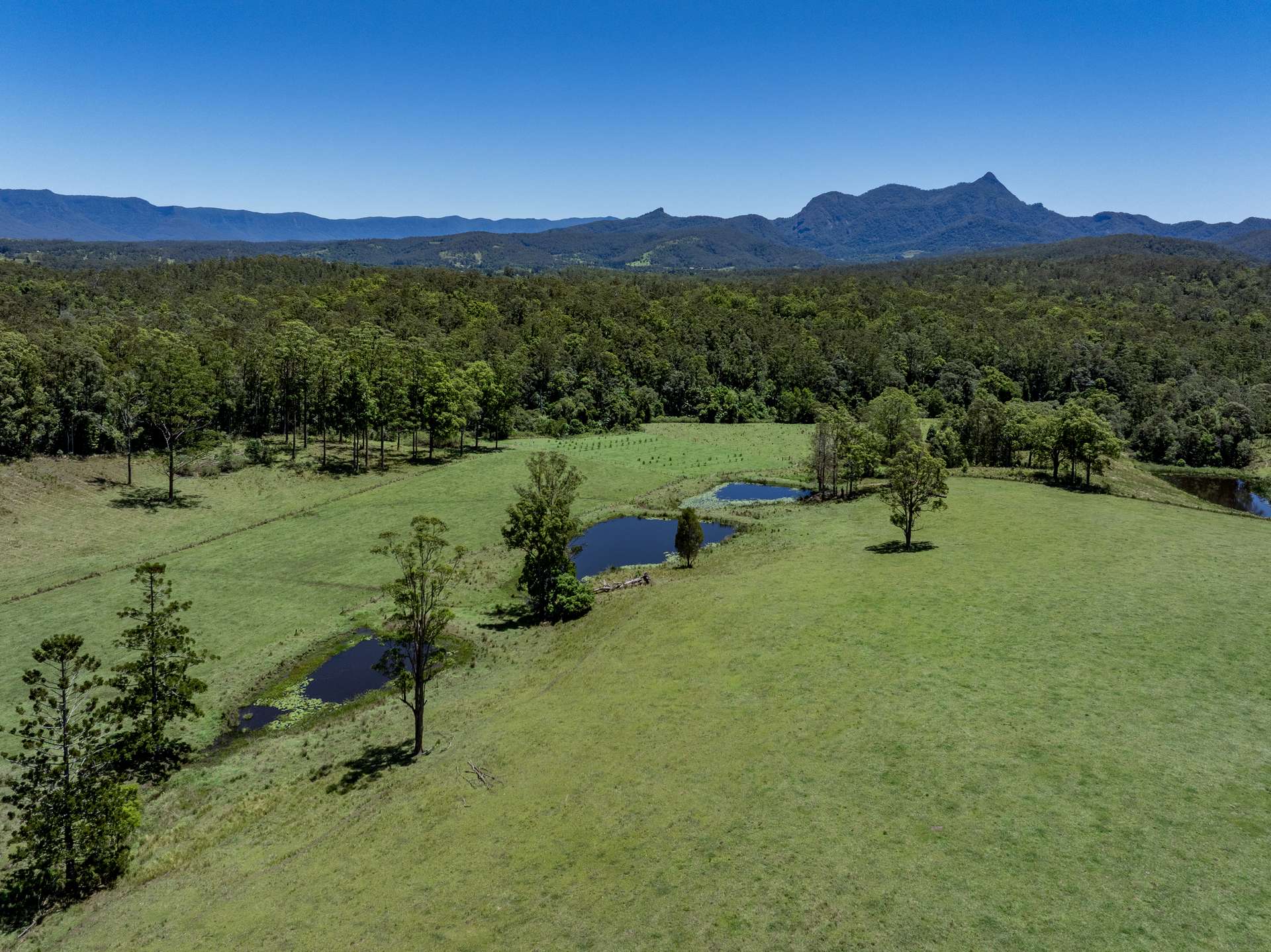 148 Pine Log Road, Doon Doon For Sale by Farmbuy.com - image 8