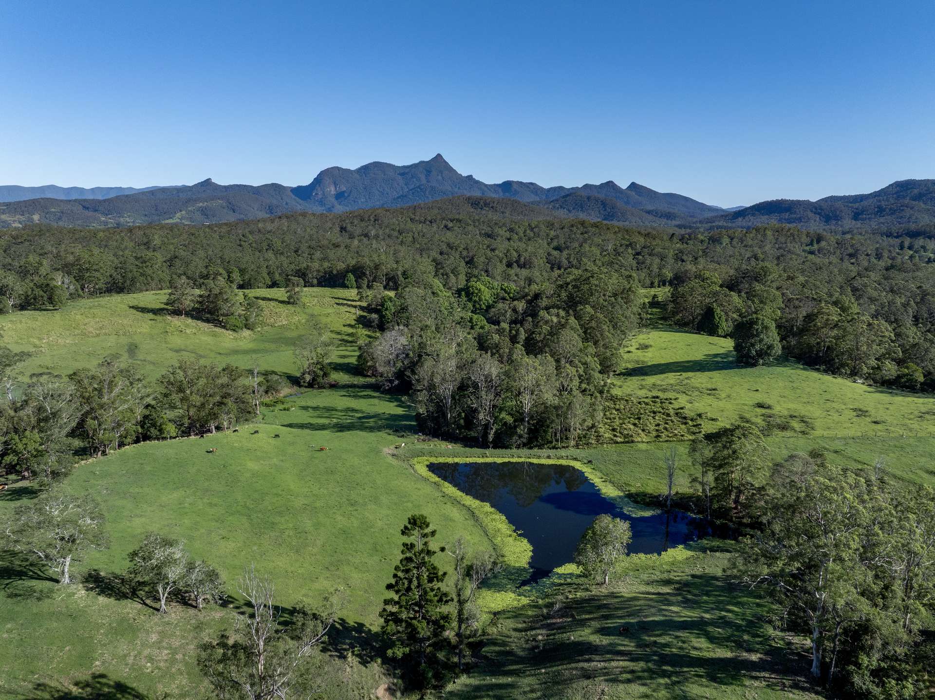 148 Pine Log Road, Doon Doon For Sale by Farmbuy.com - image 22