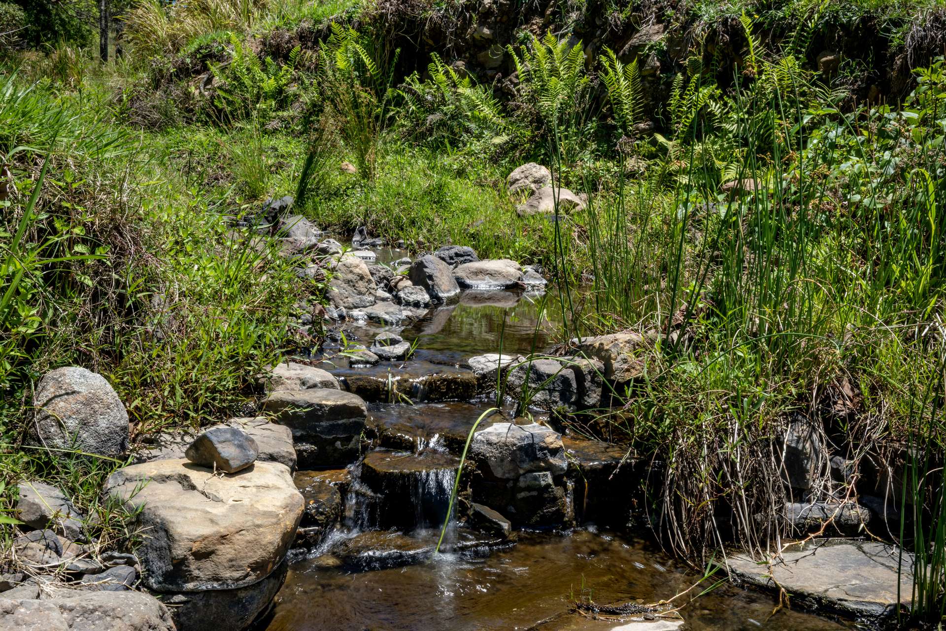 148 Pine Log Road, Doon Doon For Sale by Farmbuy.com - image 11