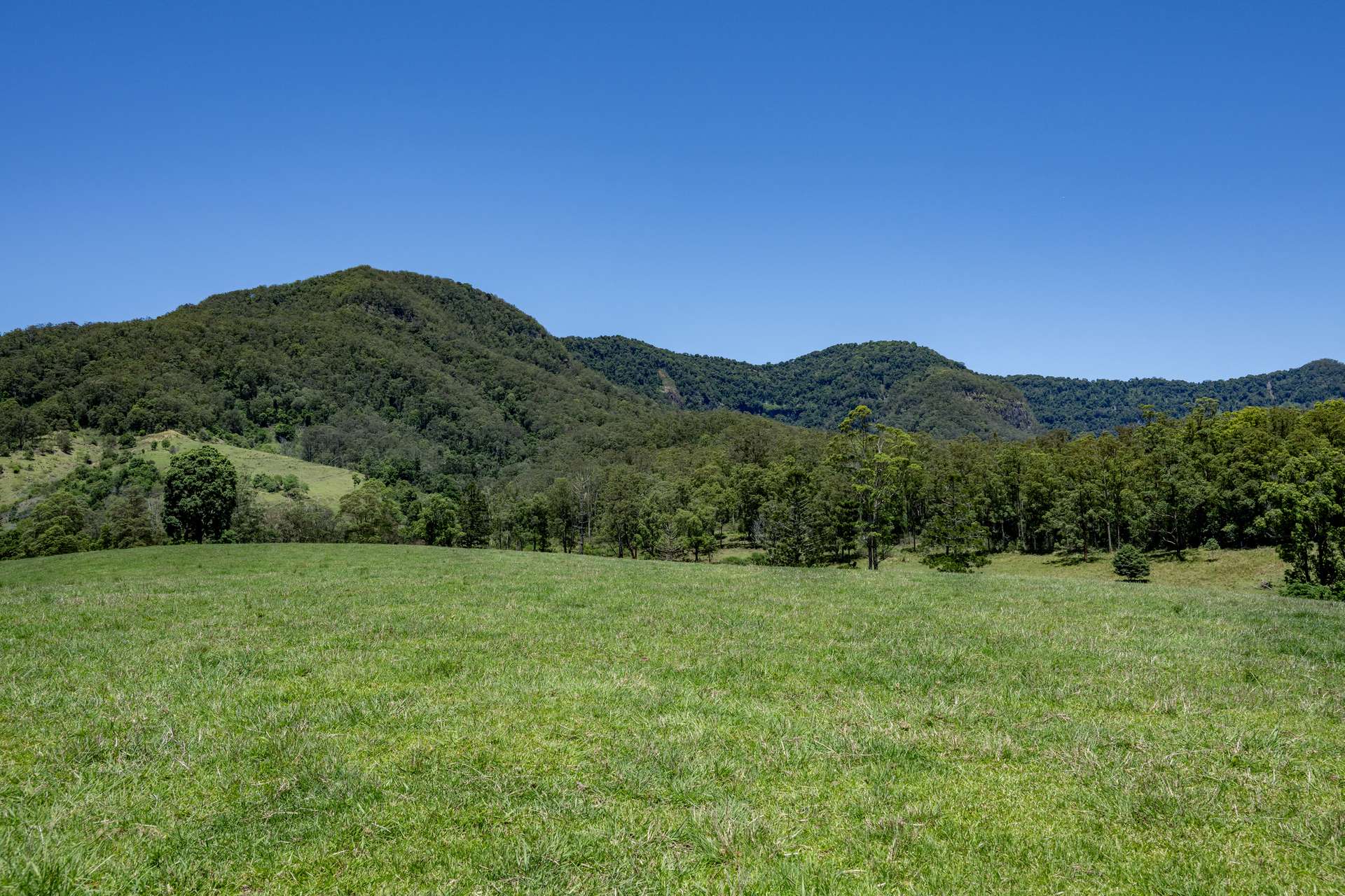 148 Pine Log Road, Doon Doon For Sale by Farmbuy.com - image 10