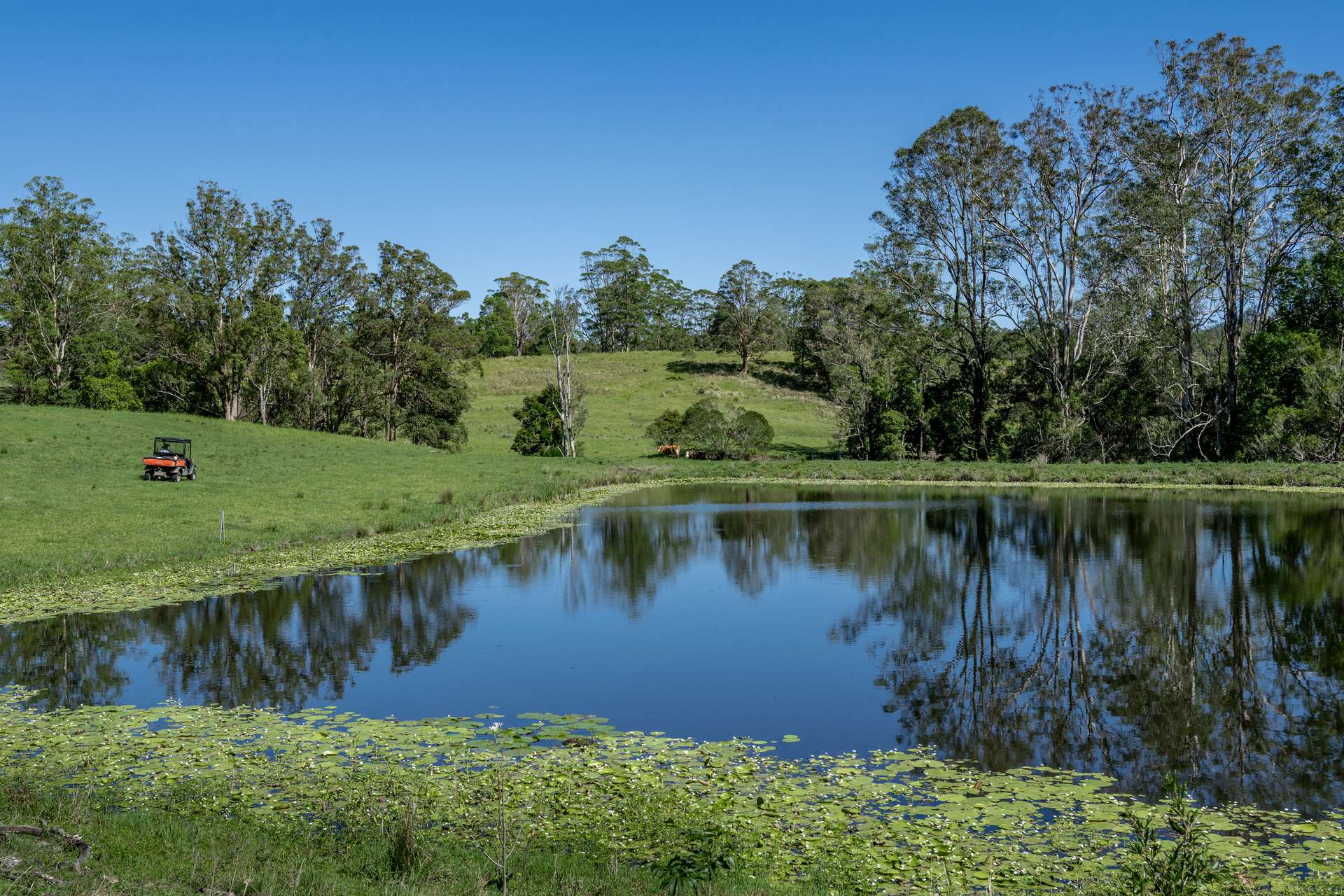 148 Pine Log Road, Doon Doon For Sale by Farmbuy.com - image 20