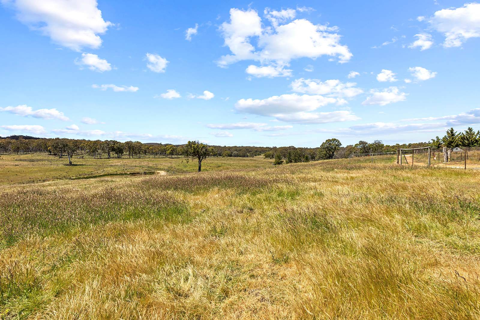 5716 Gundaroo Road, Bellmount Forest For Sale by Farmbuy.com - image 24