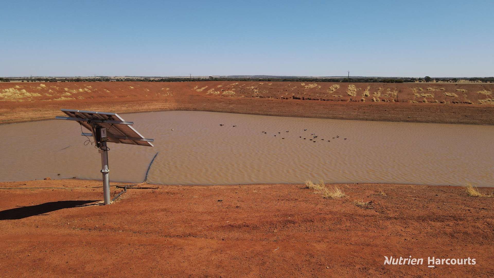 . Waitavalo Farms, Narembeen Sold by Farmbuy.com - image 21
