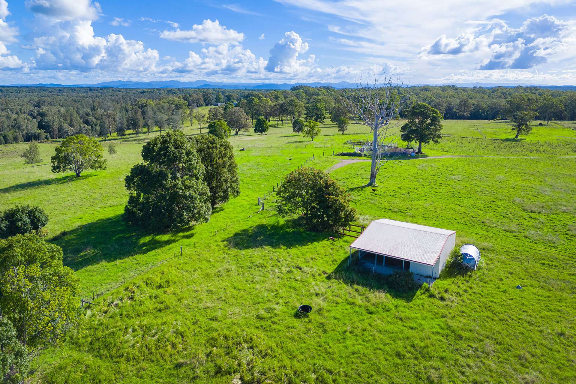 Lot Lot 37, 12, 83 Sutherlands Lane, Bellimbopinni For Sale by Farmbuy.com - image 11