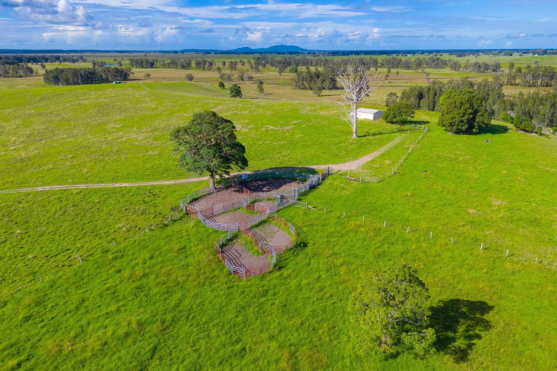 Lot Lot 37, 12, 83 Sutherlands Lane, Bellimbopinni For Sale by Farmbuy.com - image 7