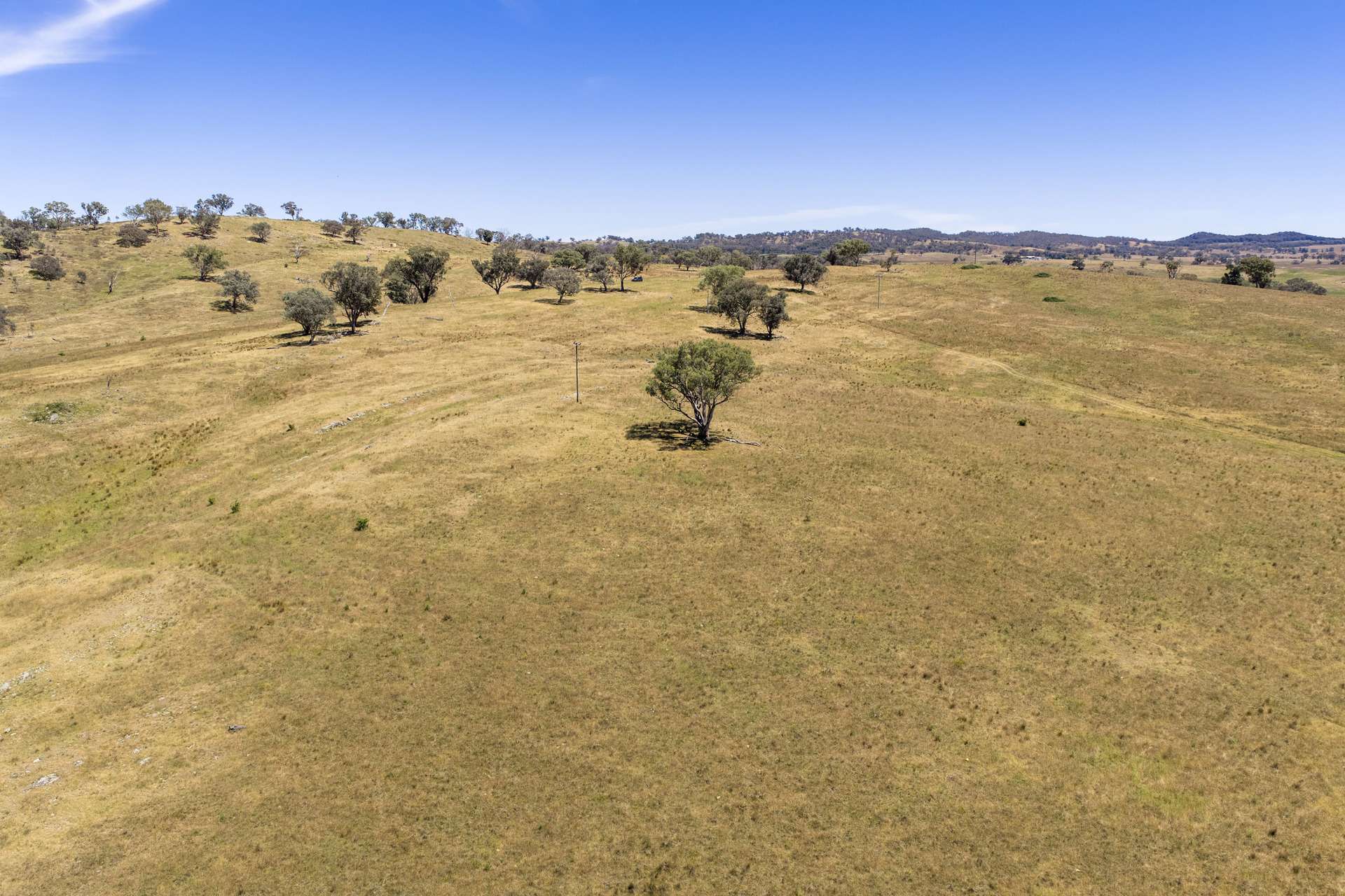 Lots 46 & 70, 499 Mebul Road, Gulgong For Sale by Farmbuy.com - image 14